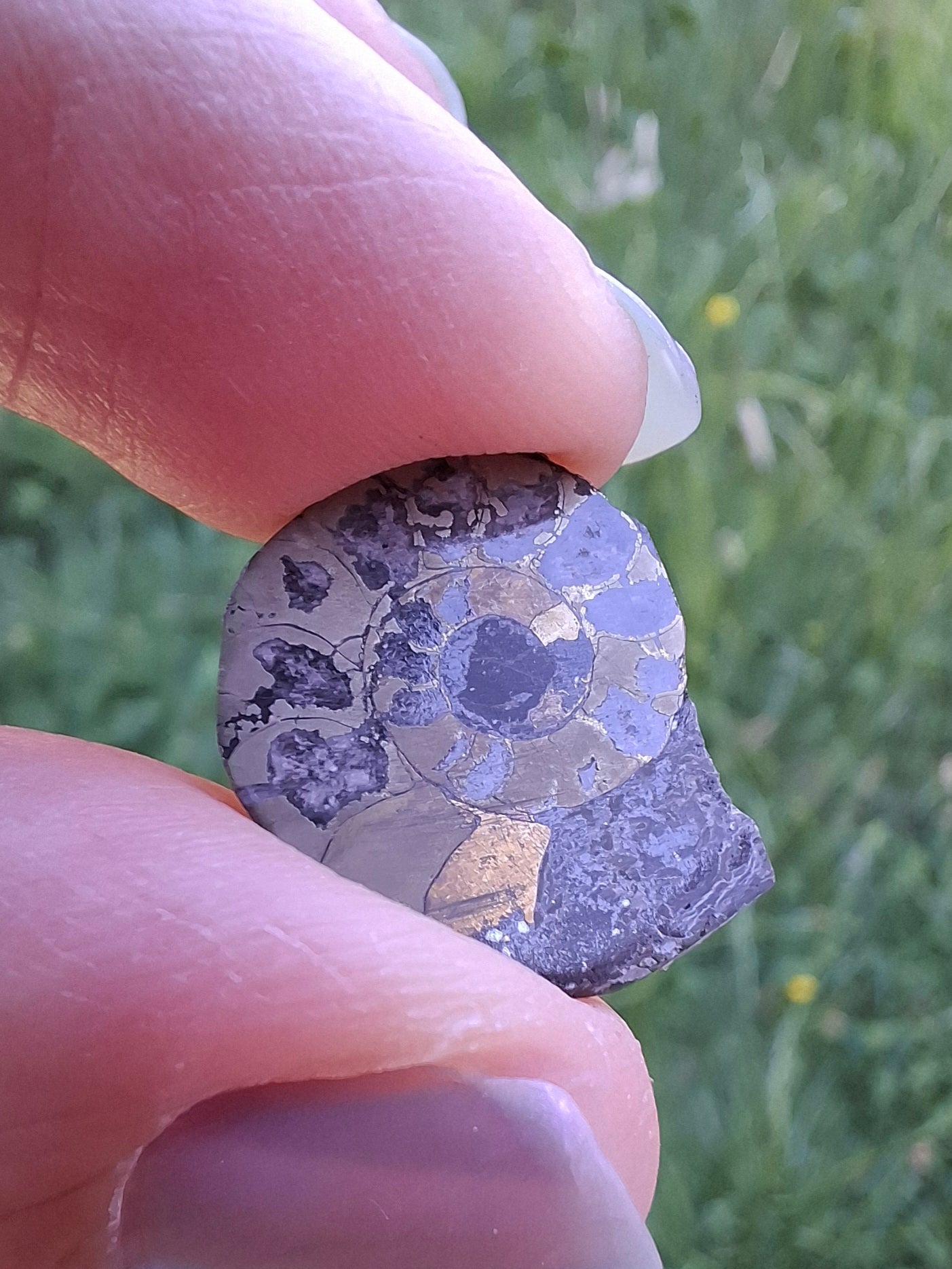 Small Haematite Ammonite HALF, 1.10g, Fossil (Ref: MA9)