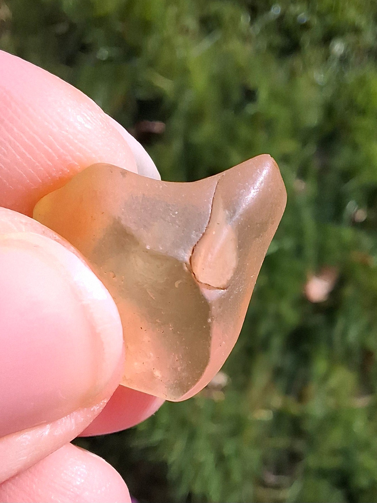 Libyan Desert Glass small Piece, 2.38g, Tektite (Ref: L1353)