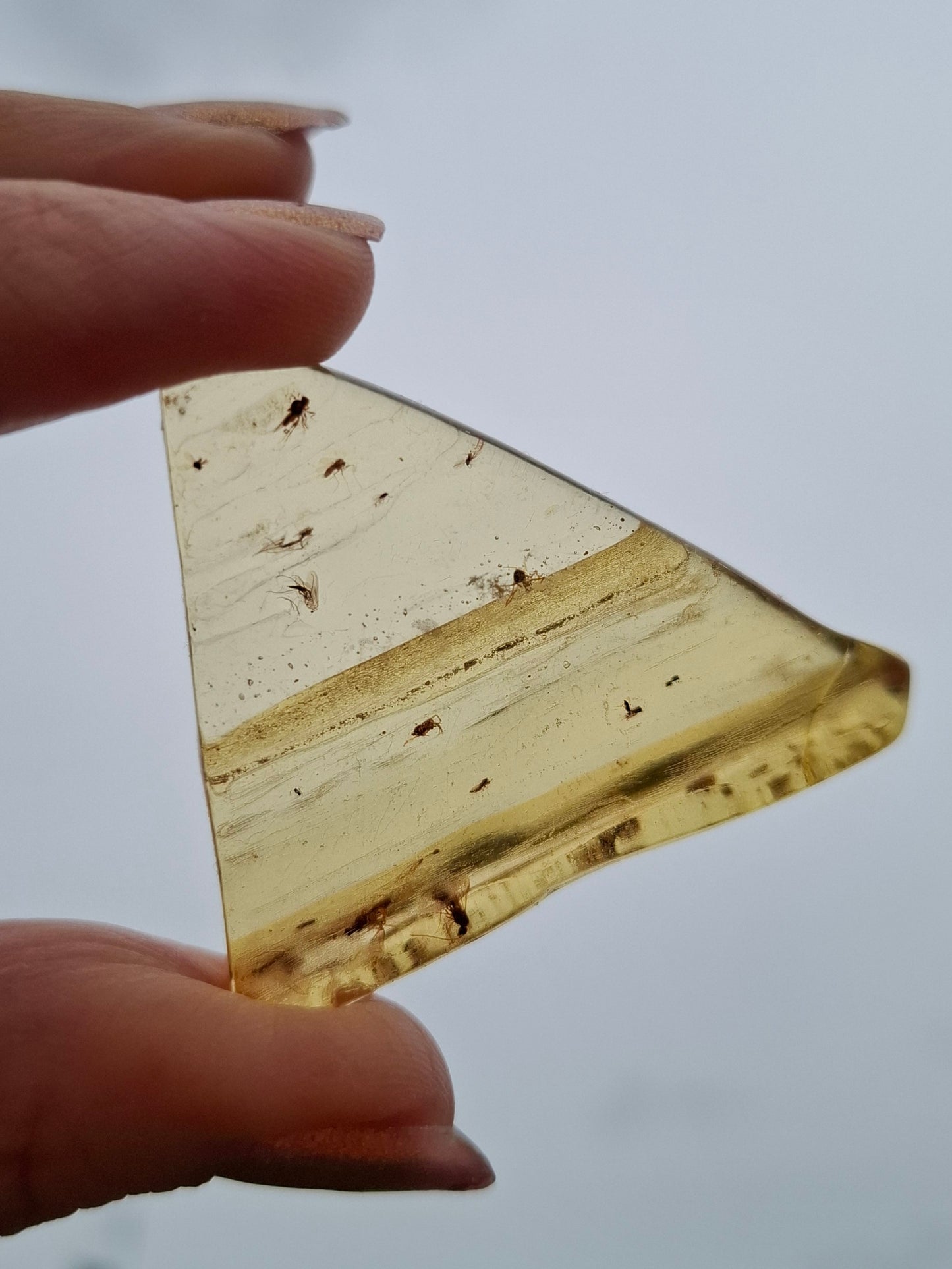Copal Young Amber with INSECTS inside, 8.39g, Fossil (Ref: CA31)