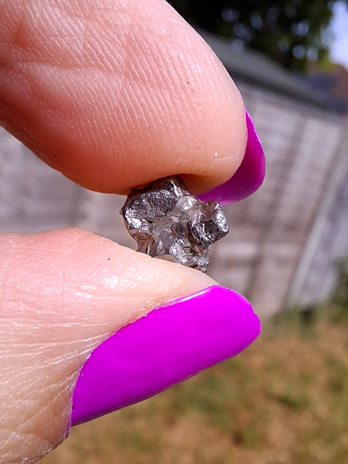 Campo del Cielo, 1.18g, Nickel Iron Meteorite (Ref: C10)