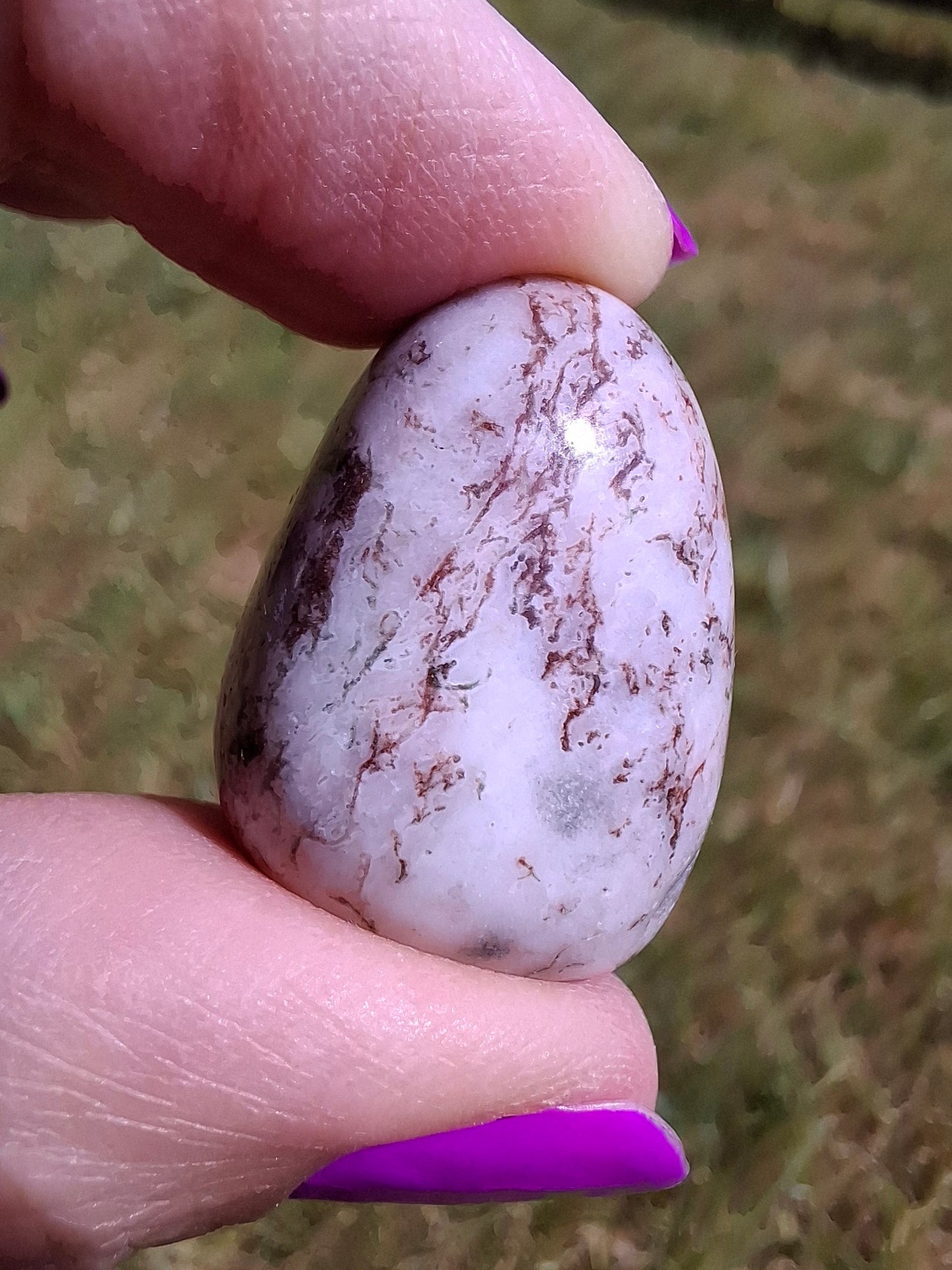 Tree Agate, Tumble Stone, Crystal (Ref: T6)