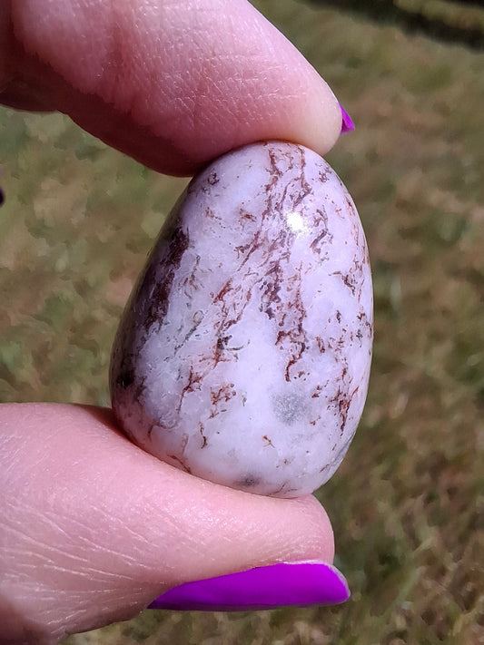 Tree Agate, Tumble Stone, Crystal (Ref: T6)
