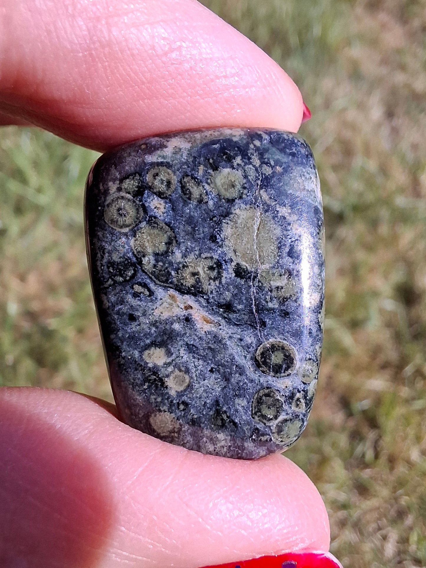 Kambaba Jasper, Tumble Stone, Crystal (Ref: T164)