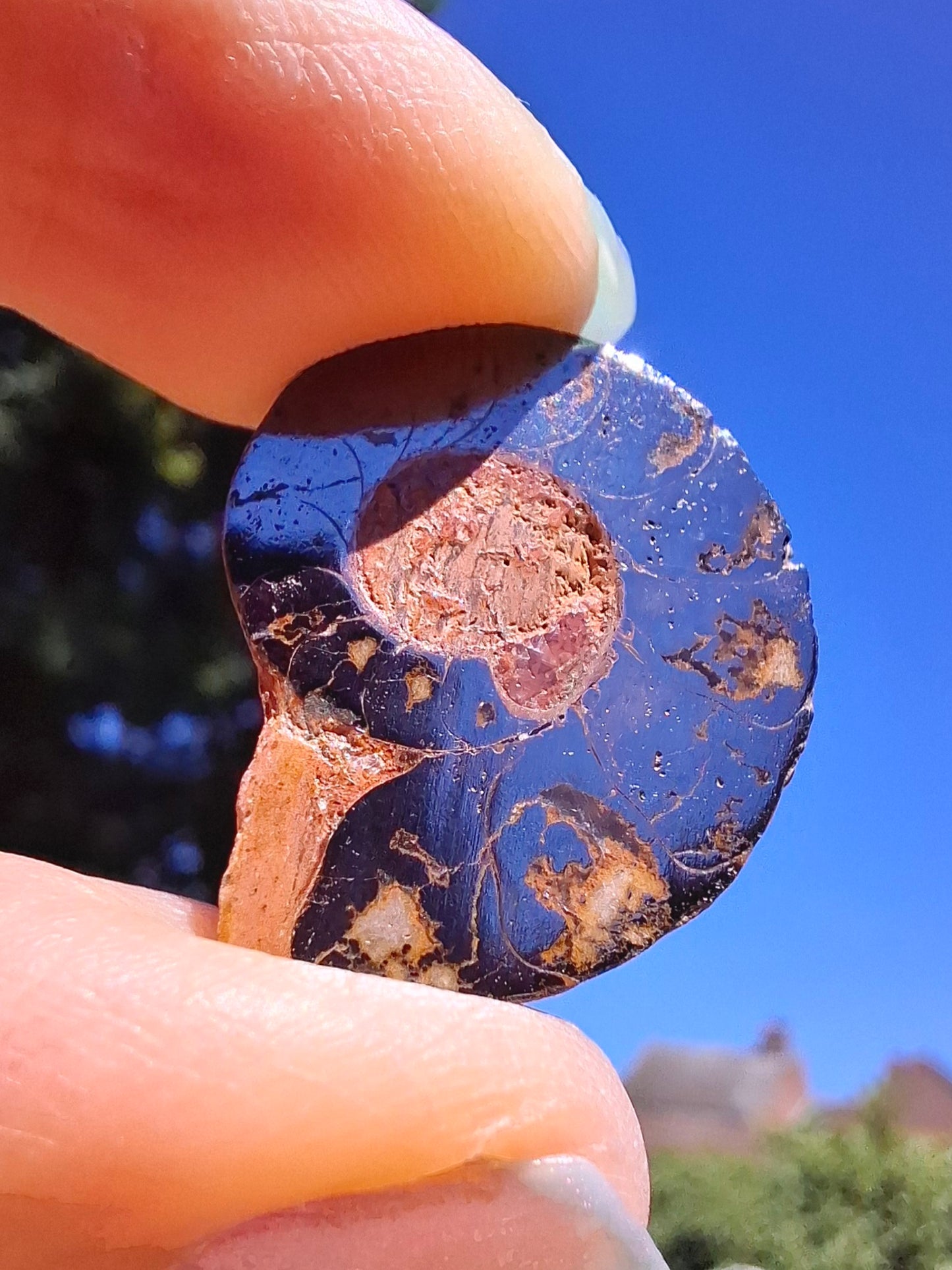 Small Haematite Ammonite HALF, (2.91g), Fossil (Ref: MA1)