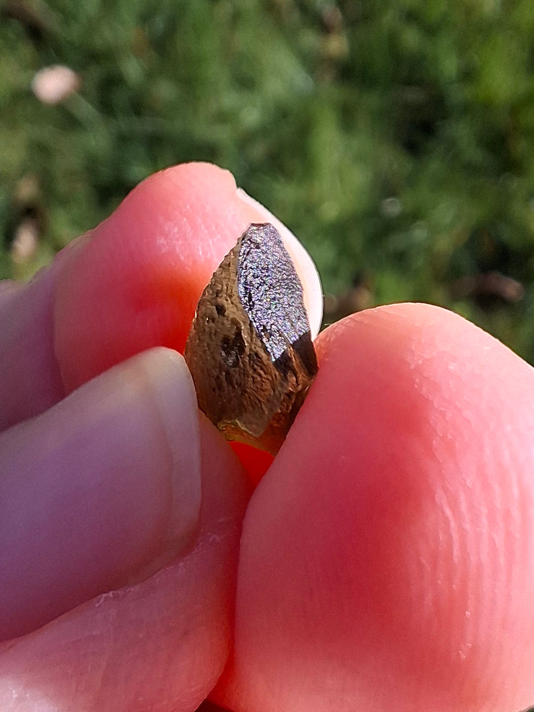 Moldavite Small Piece. 0.35g, Tektite (Ref: 1329)