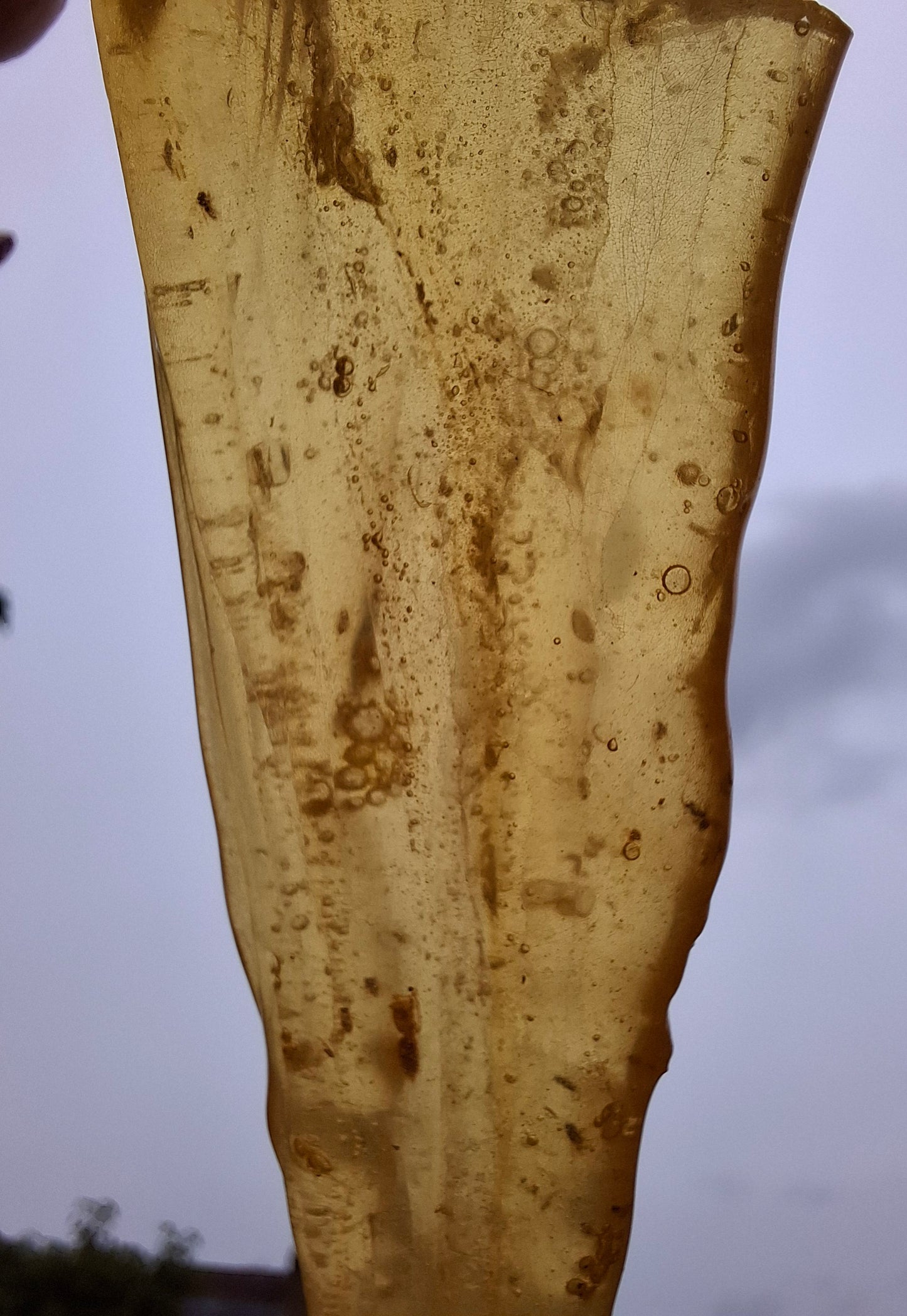 Copal Young Amber with INSECTS inside, 18.29g, Fossil (Ref: CA33)