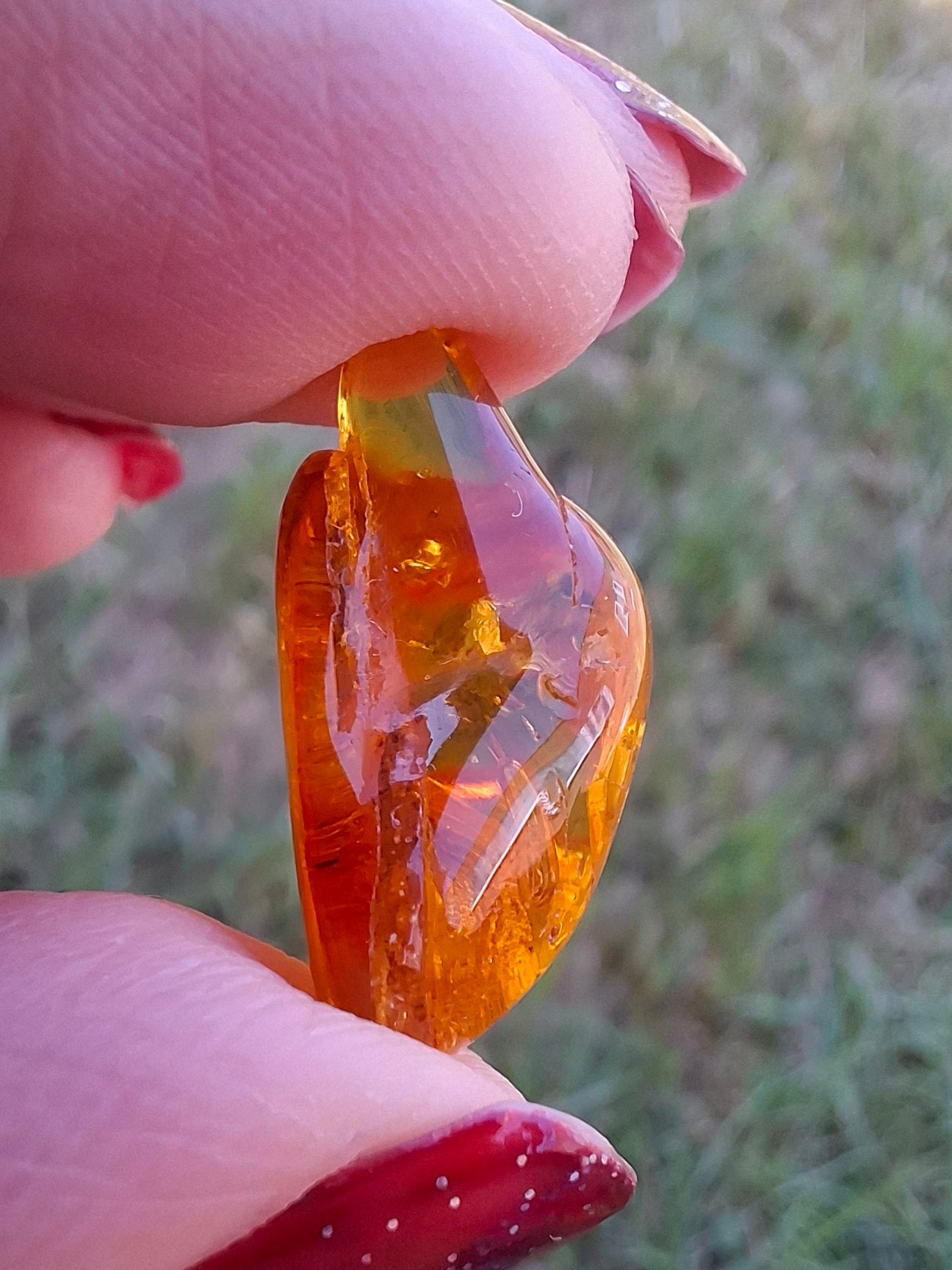 Baltic Amber, 1.58g, Fossil (Ref: A231)