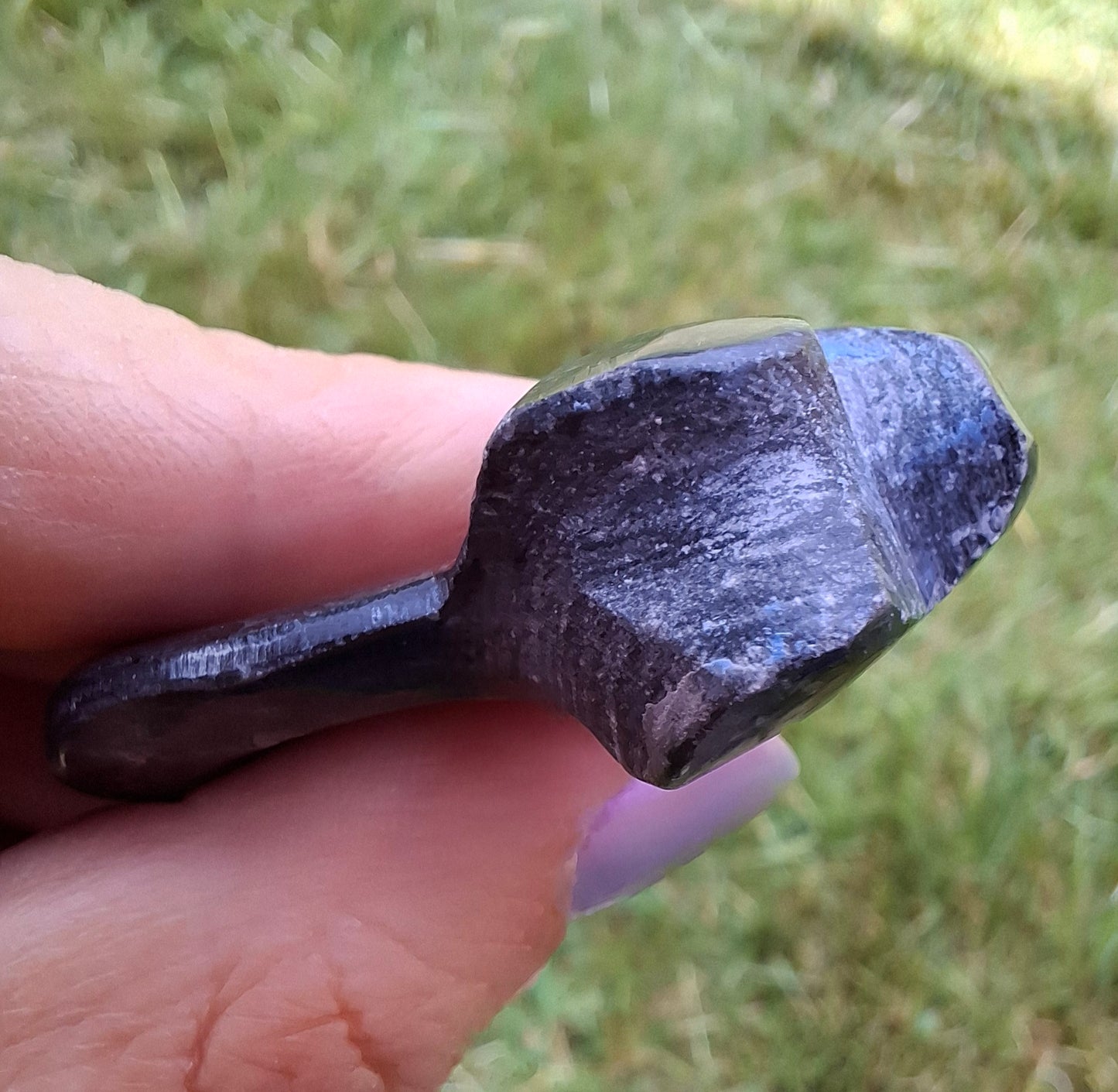 Goniatite, Fossil (Ref: GA4)
