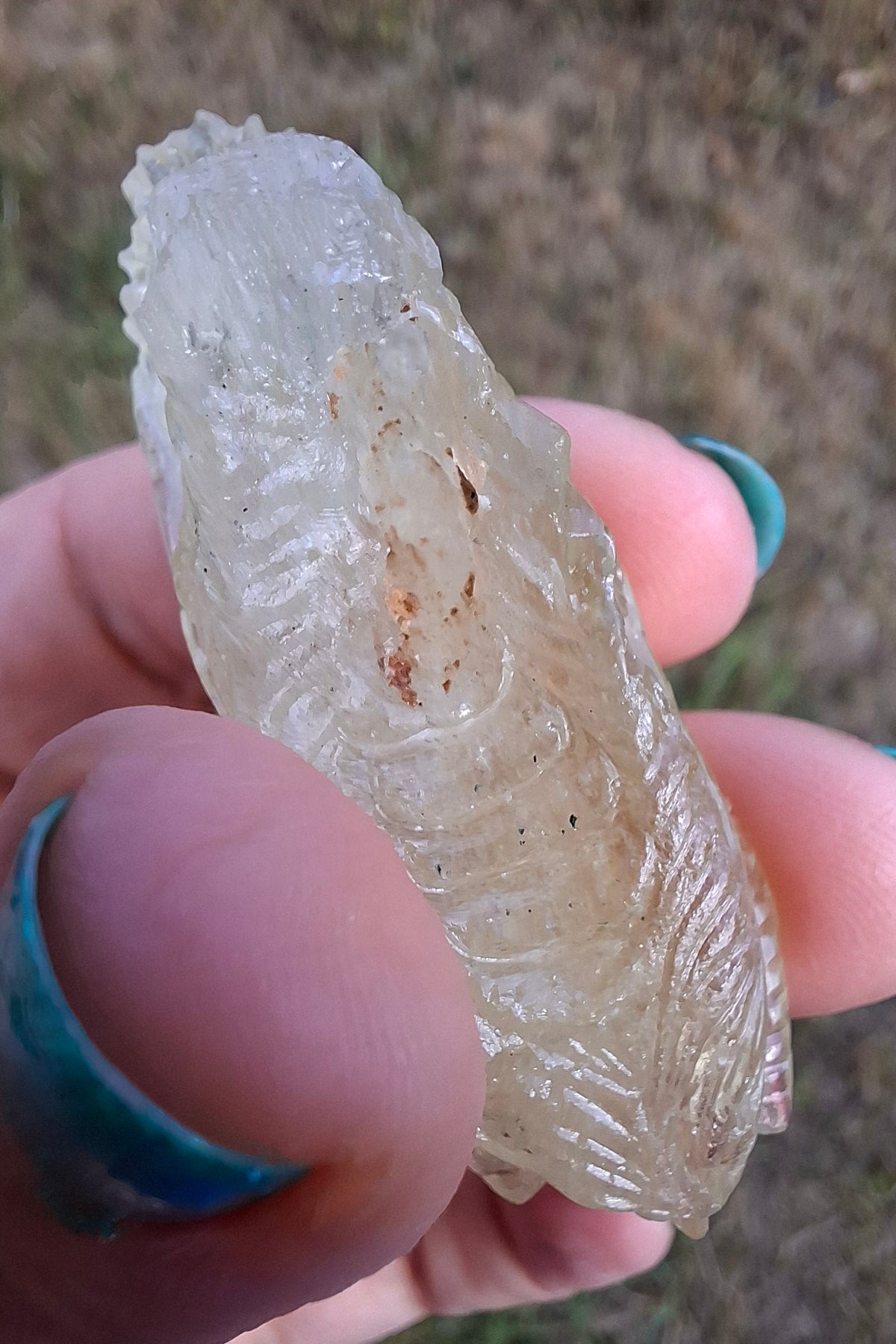 Libyan Desert Glass DRAGON HEAD carving, 22.42g, Tektite (Ref: Dragon 2)