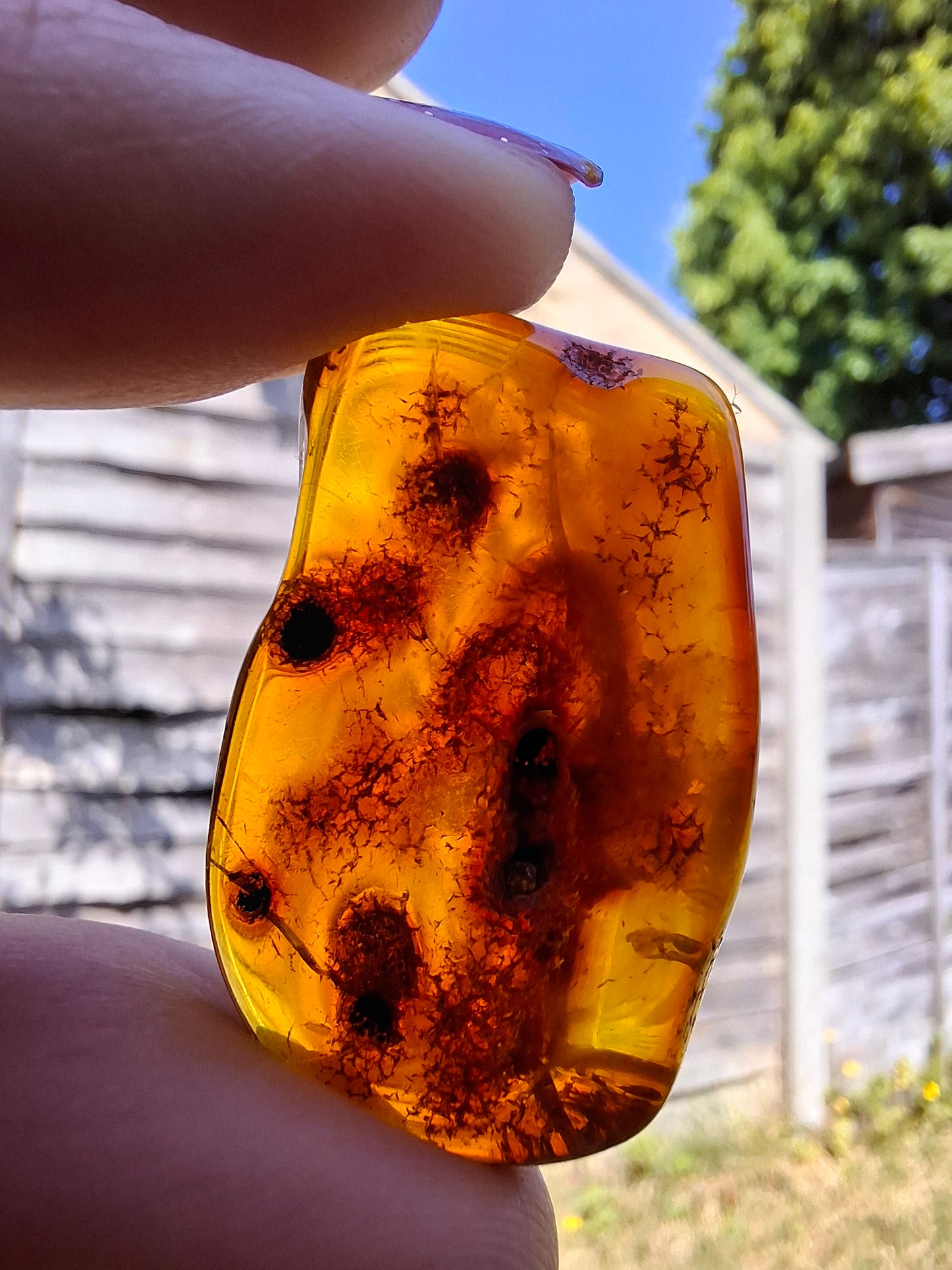 Baltic Amber, 4.50g, Fossil (Ref: A151)