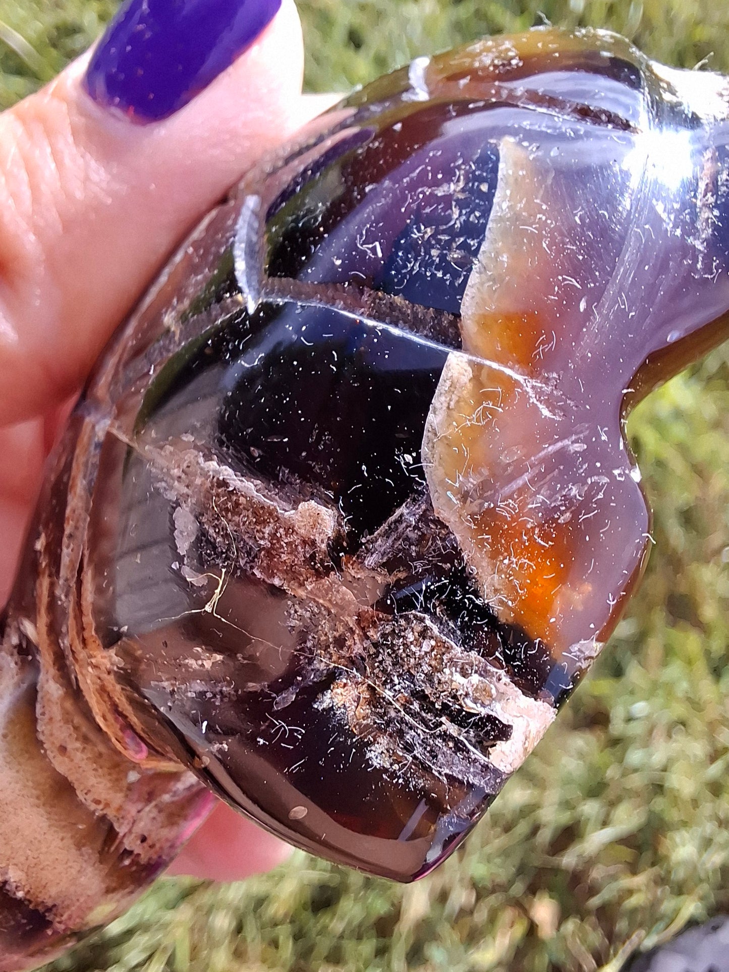 Red Amber Turtle, 50.00g, Carving, Fossil (Ref: TT6)