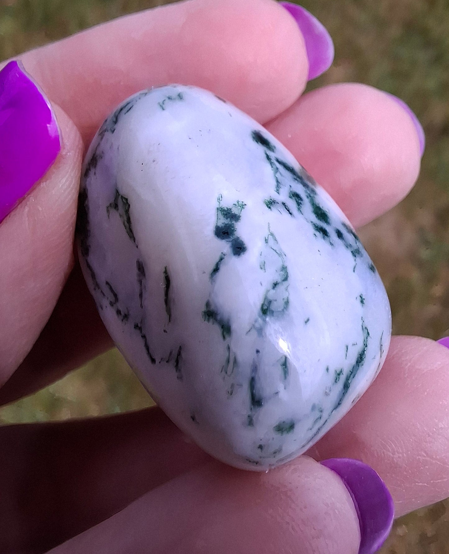 Tree Agate, Tumble Stone, Crystal (Ref: T1)