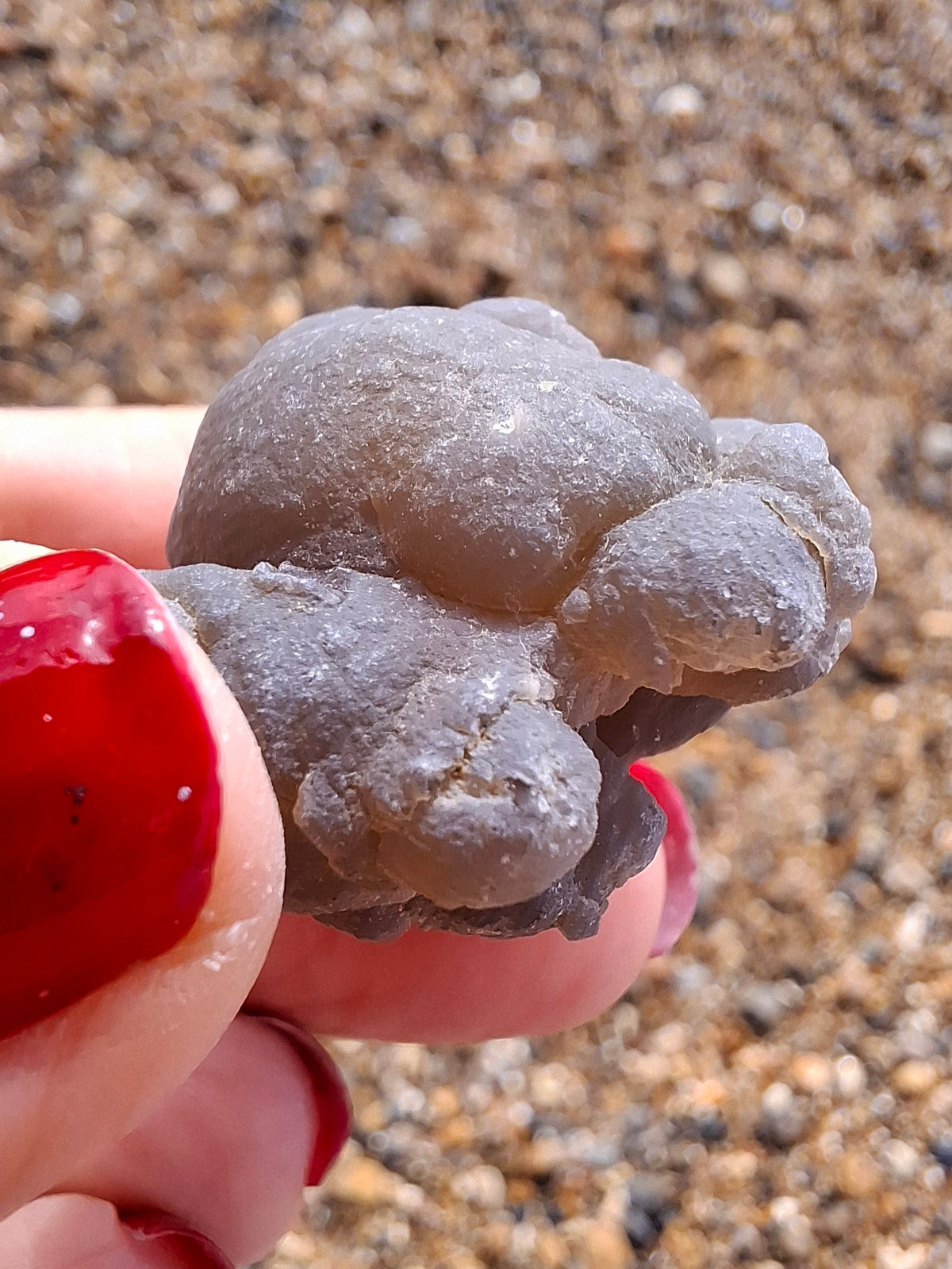 Nebula Chalcedony, 16.57g, Fossil (Ref: NC10)