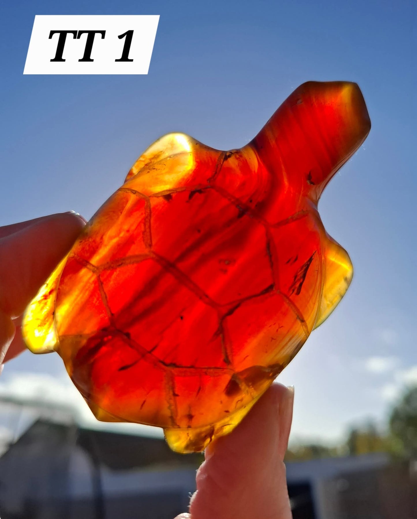 Red Amber Turtle, 49.15g, Carving, Fossil (Ref: TT1)