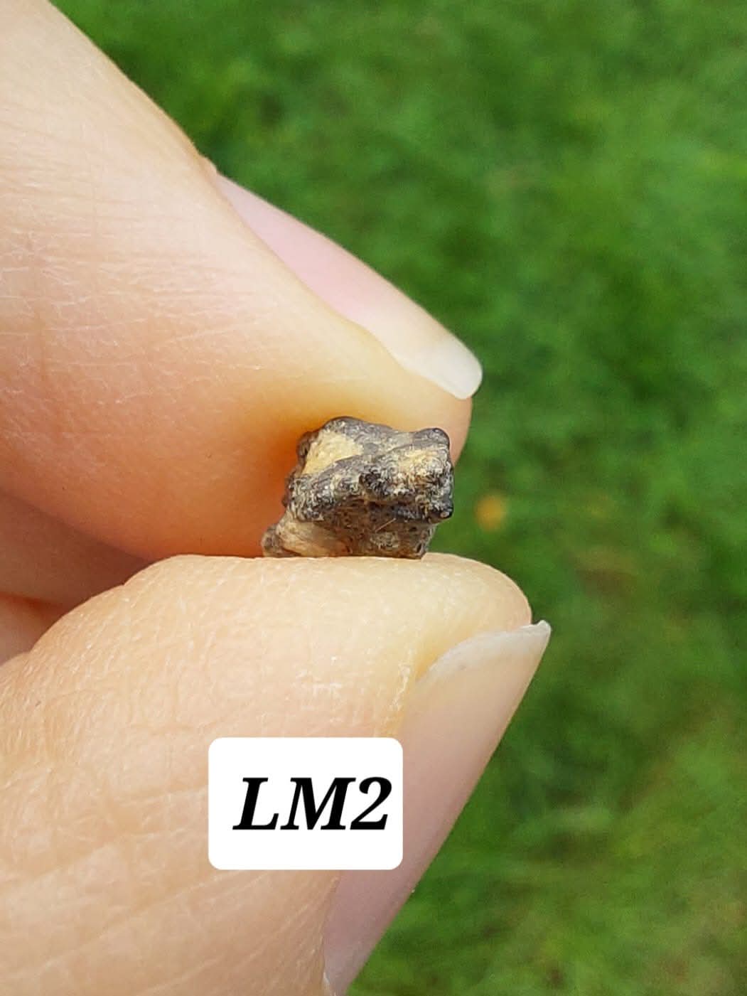 Lunar Meteorite, 0.23g, 'Moon Rock'(Ref: LM2)