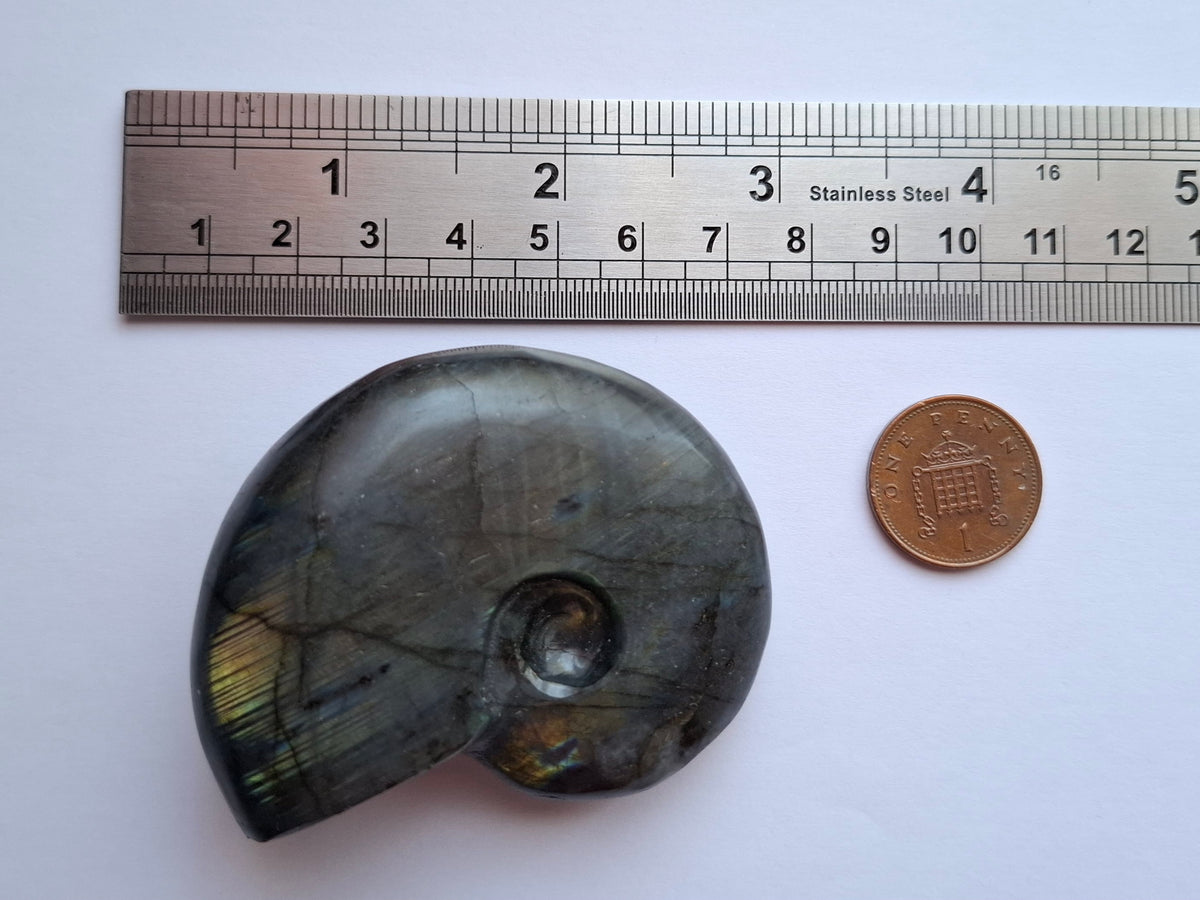Labradorite Ammonite carving, 96.88g, Crystal (Ref: laba1)