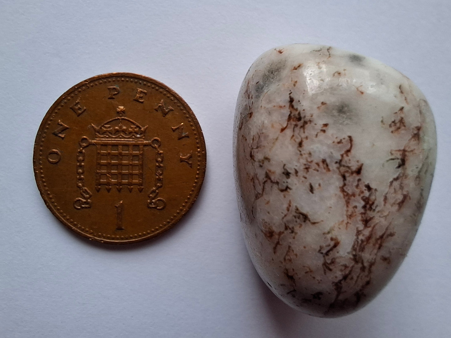 Tree Agate, Tumble Stone, Crystal (Ref: T6)