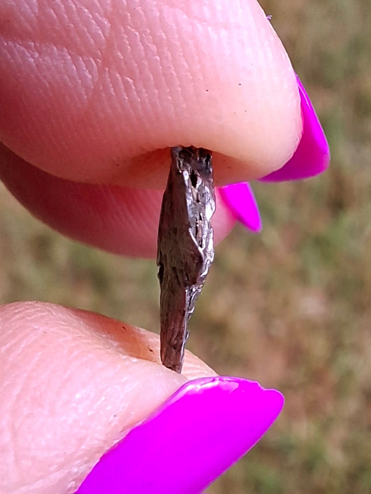 Campo del Cielo, 0.37g, Nickel Iron Meteorite (Ref: C13)