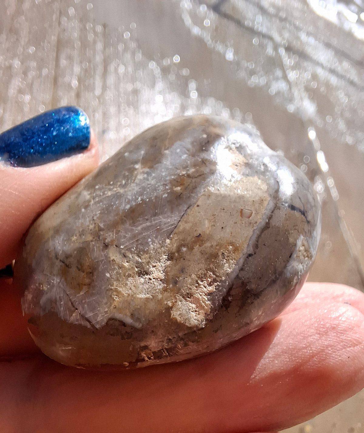 Polished Sea Urchin, Fossil (Ref: SU2)