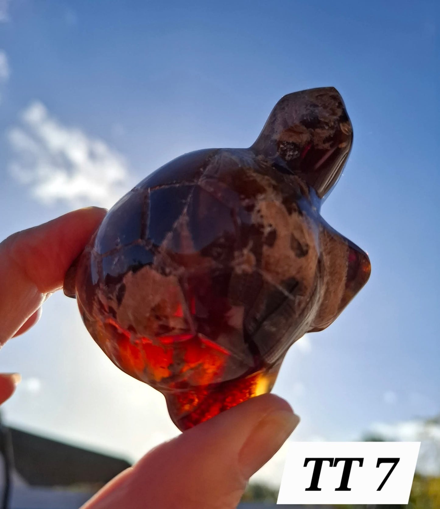 Red Amber Turtle, 56.87g, Carving, Fossil (Ref:TT7)