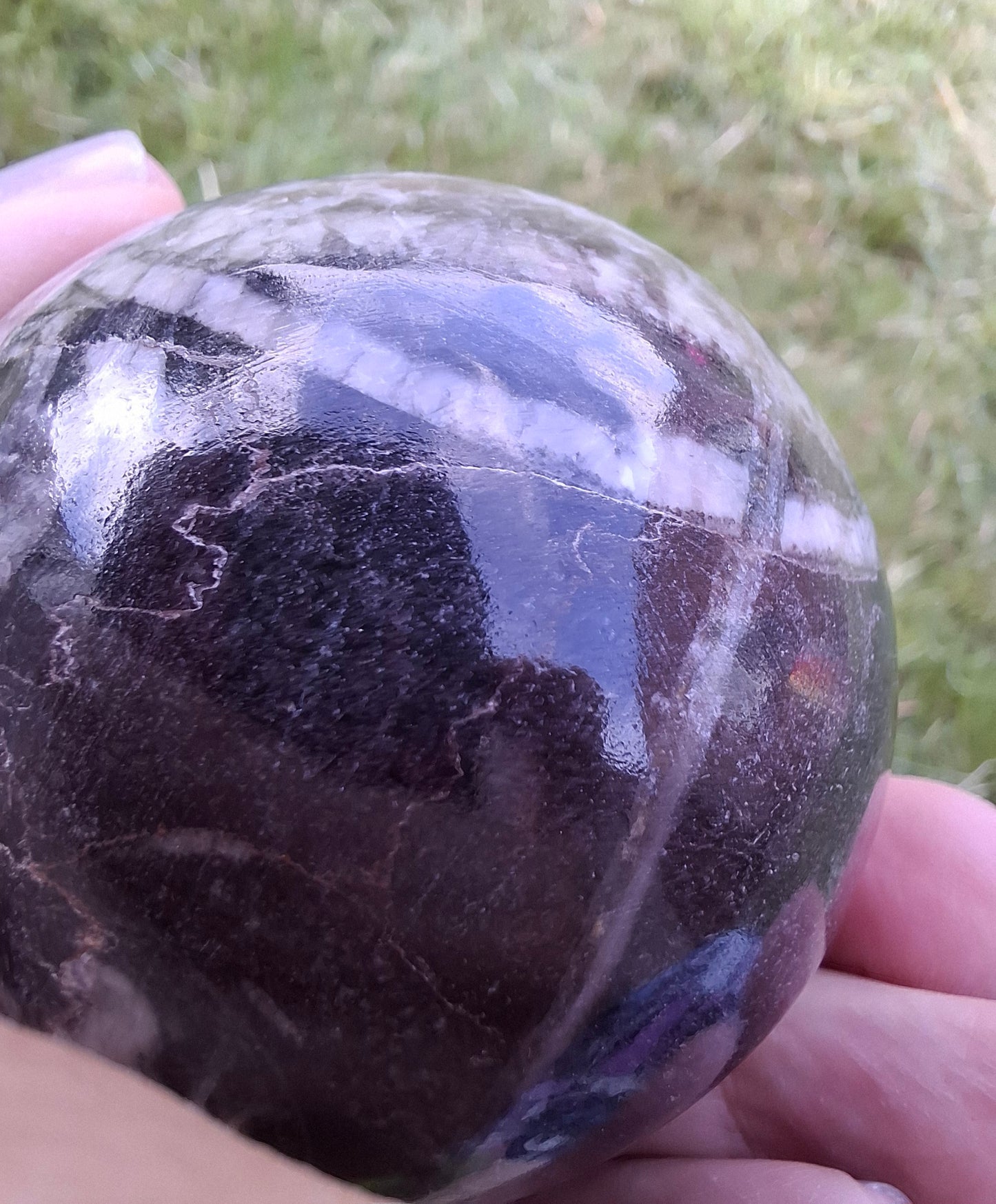 Orthoceras Sphere, Fossil (Ref: OS4)