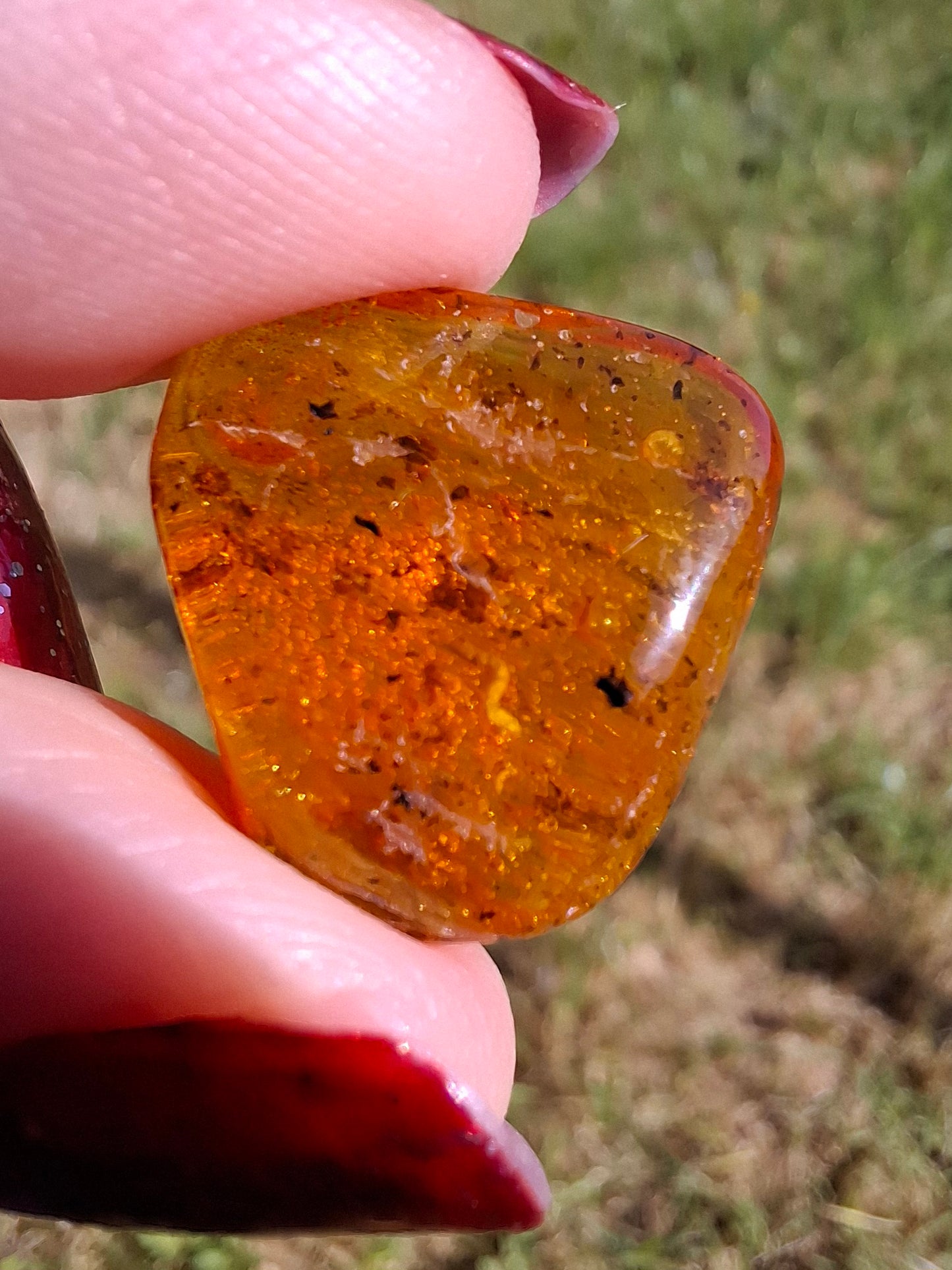 Baltic Amber, 1.59g, Fossil (Ref: A244)