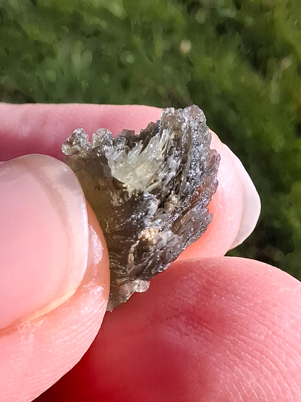 Moldavite Piece, 1.41g, Tektite (Ref: 1339)