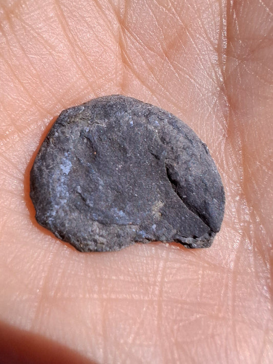 Small Haematite Ammonite HALF, 1.10g, Fossil (Ref: MA9)