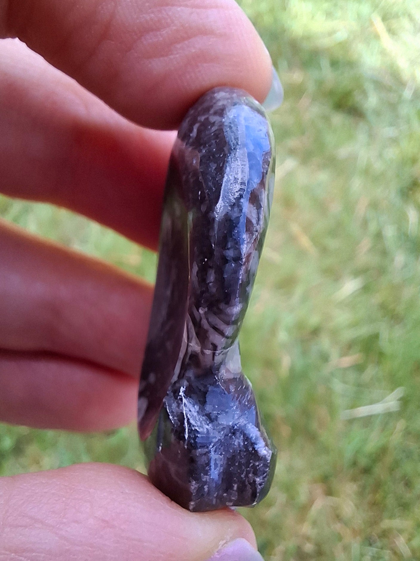 Goniatite, Fossil (Ref: GA2)