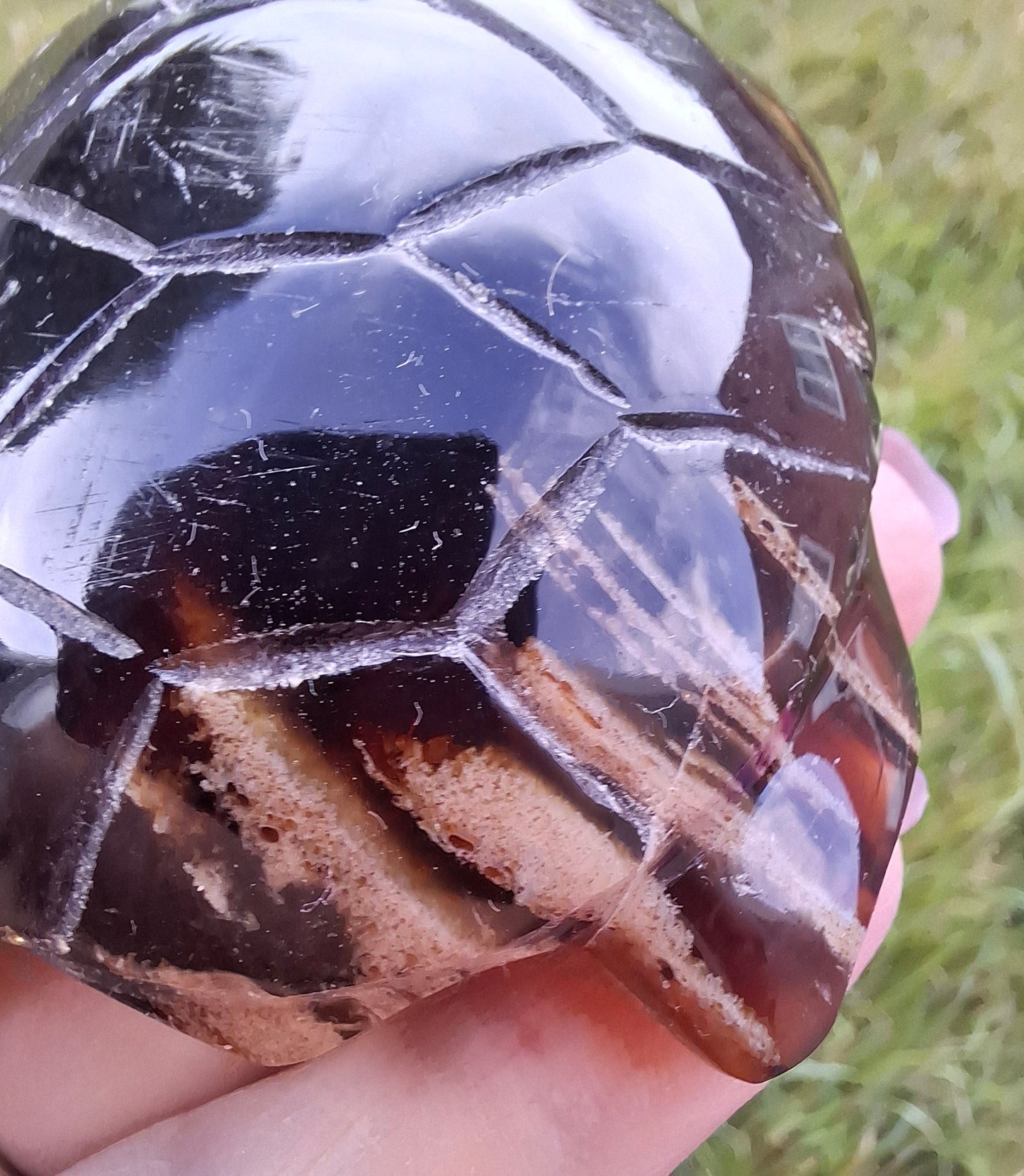 Red Amber Turtle, 59.07g, Carving, Fossil (Ref: TT5)
