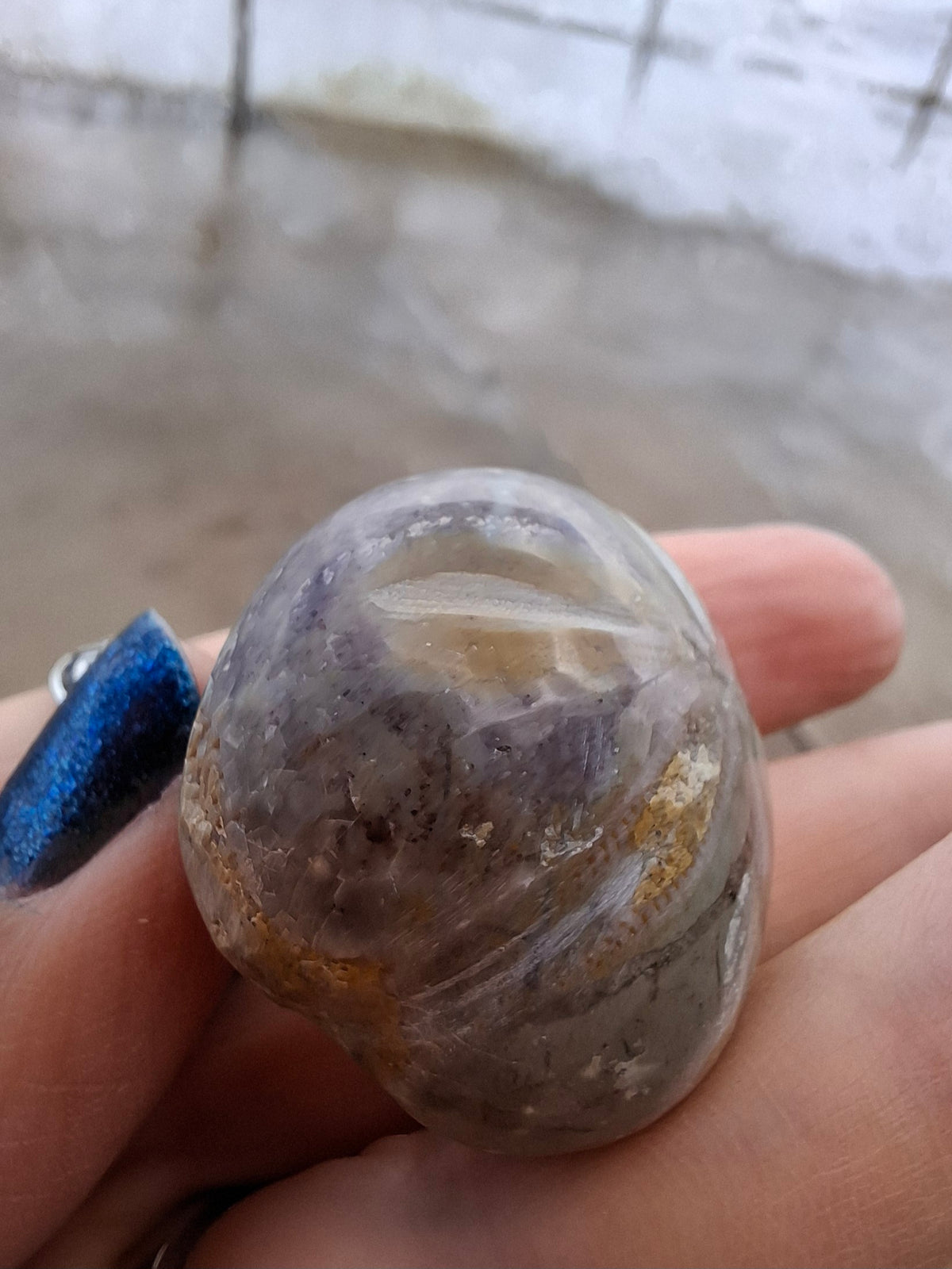 Polished Sea Urchin, Fossil (Ref: SU6)
