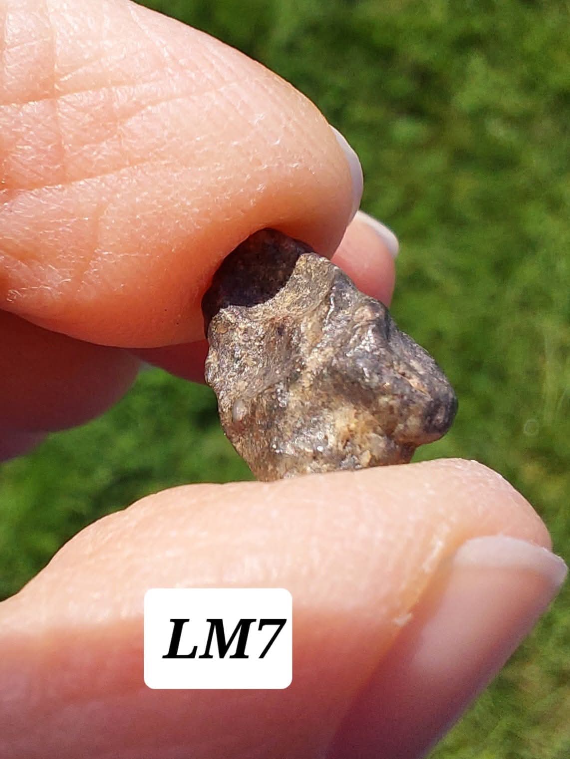 Lunar Meteorite, 0.83g, 'Moon Rock' (Ref: LM7)