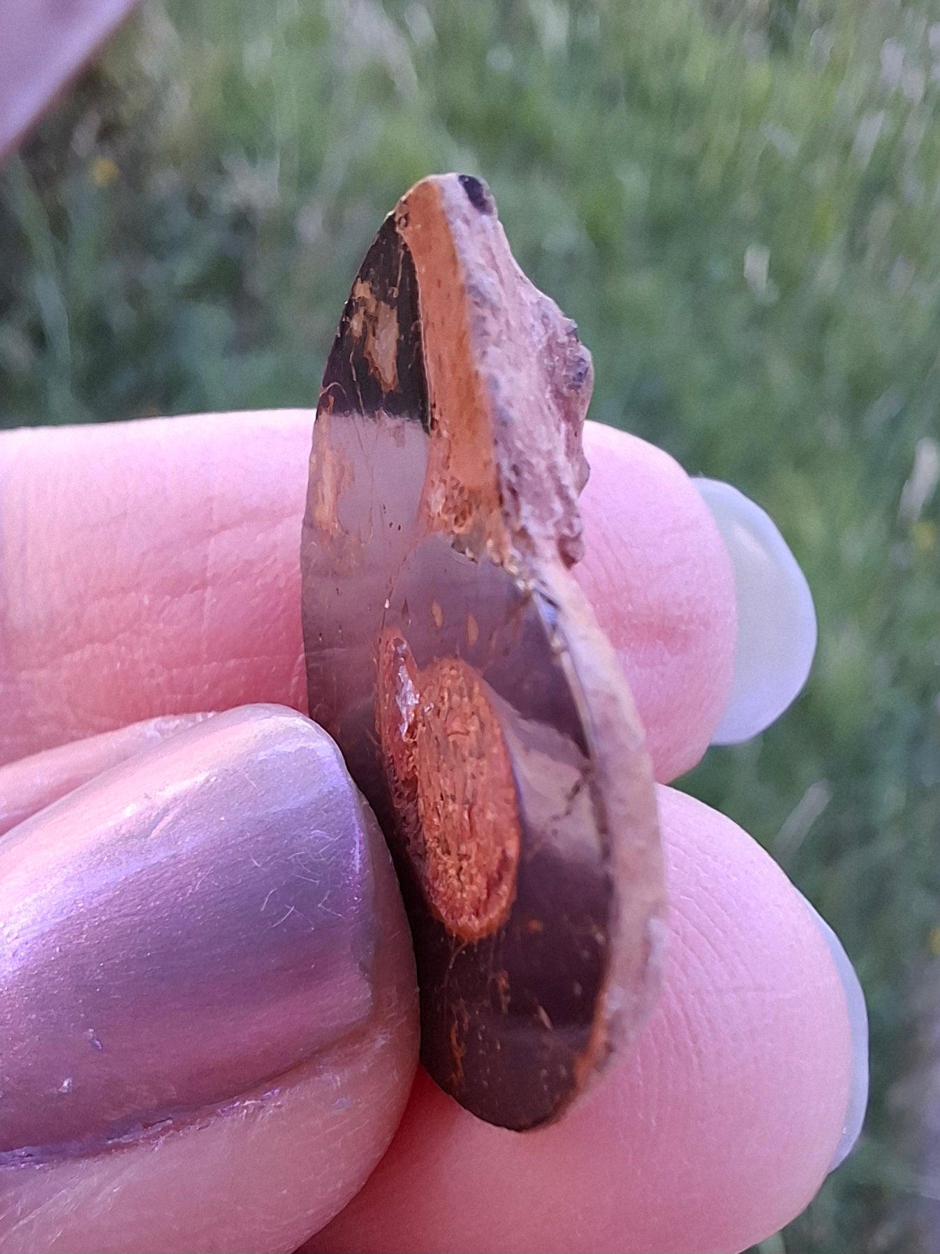 Small Haematite Ammonite HALF, (2.91g), Fossil (Ref: MA1)