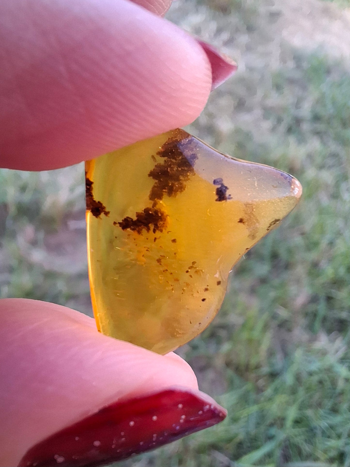 Baltic Amber, 0.91g, Fossil (Ref: A240)