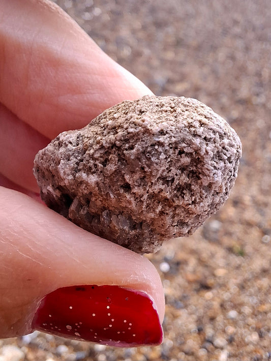 Sauropod Dinosaur Coprolite, 11.18g, Fossil (Ref: DP5)