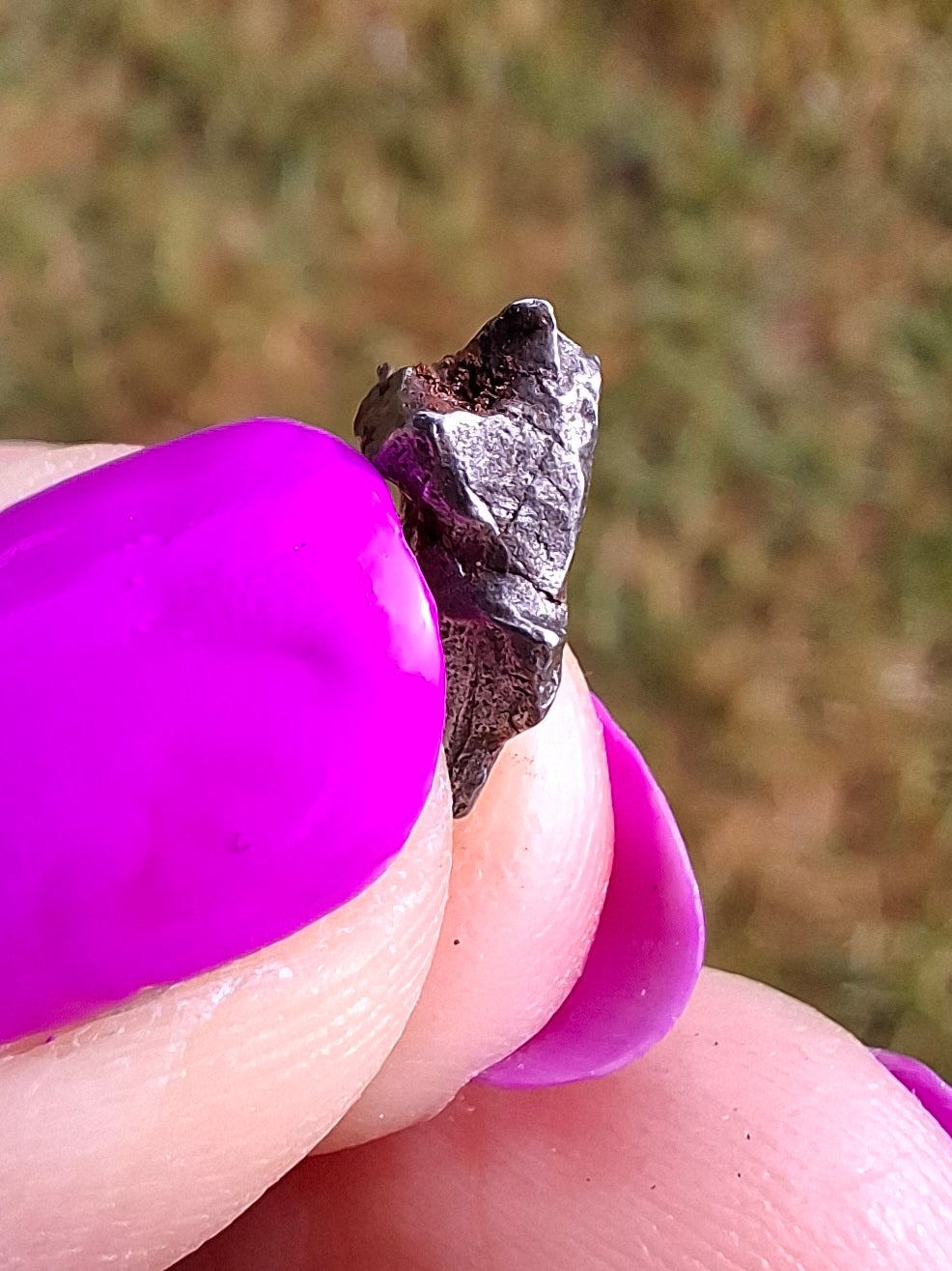 Campo del Cielo, 0.95g, Nickel Iron Meteorite (Ref: C2)