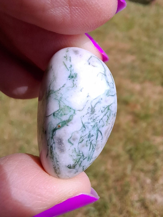 Tree Agate, Tumble Stone, Crystal (Ref: T3)