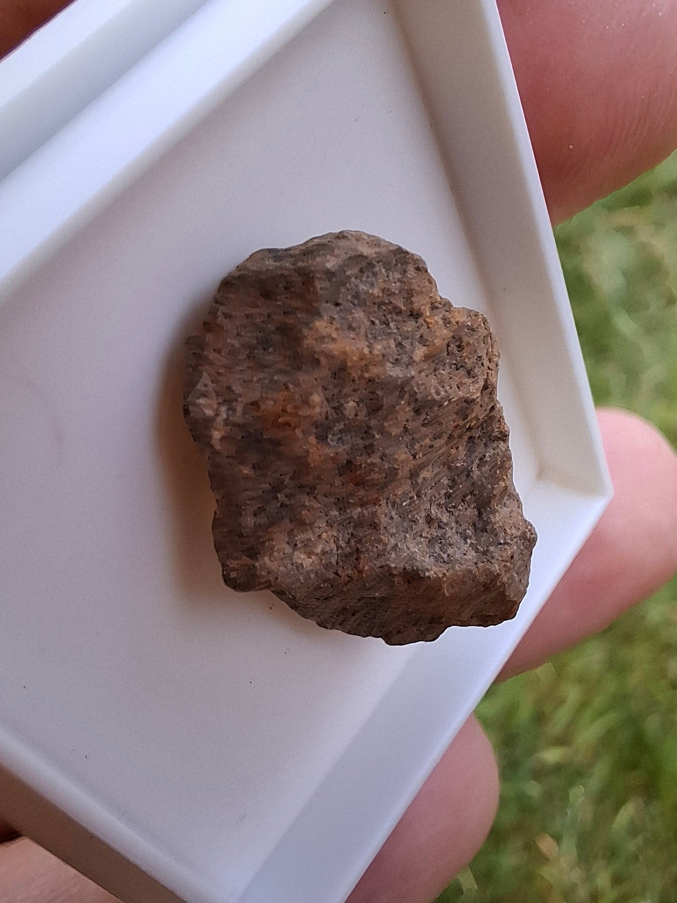 Chondrite, Meteorite (Ref: CM7)