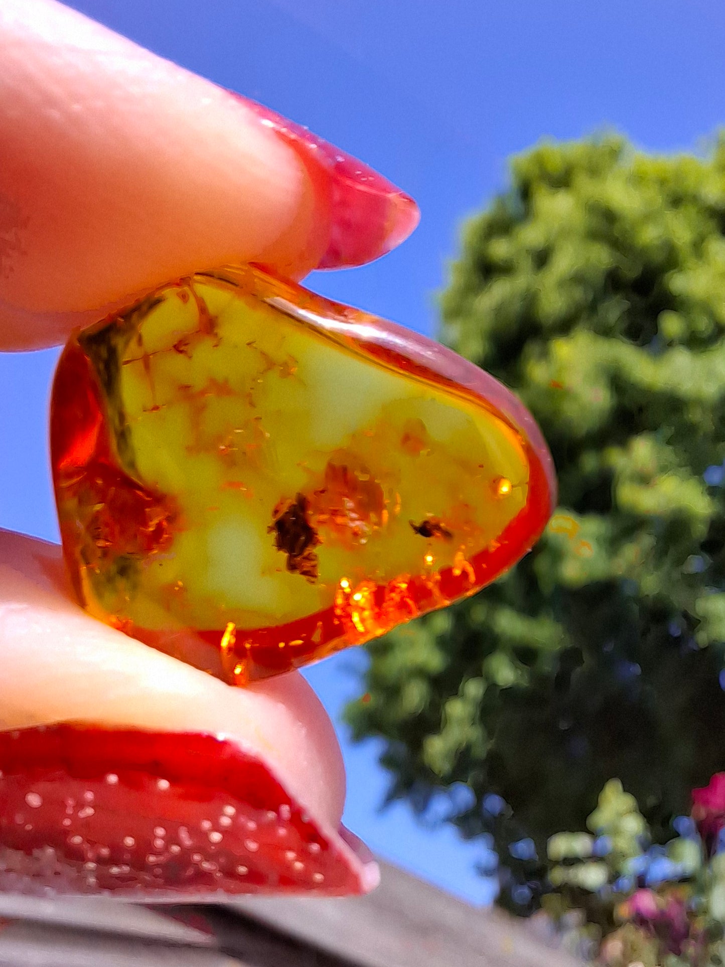 Baltic Amber, 0.97g, Fossil (Ref: A249)