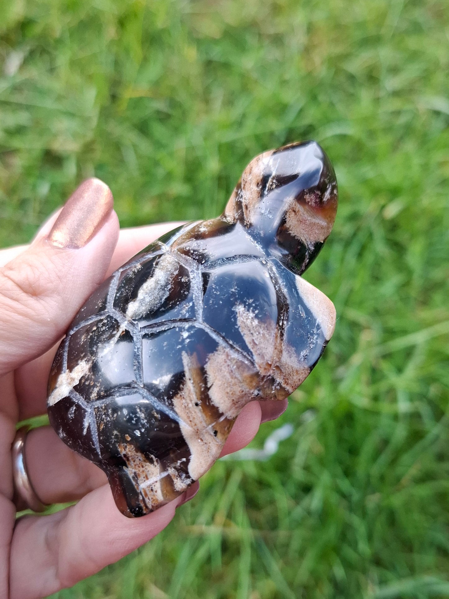 Red Amber Turtle, 50.00g, Carving, Fossil (Ref: TT6)