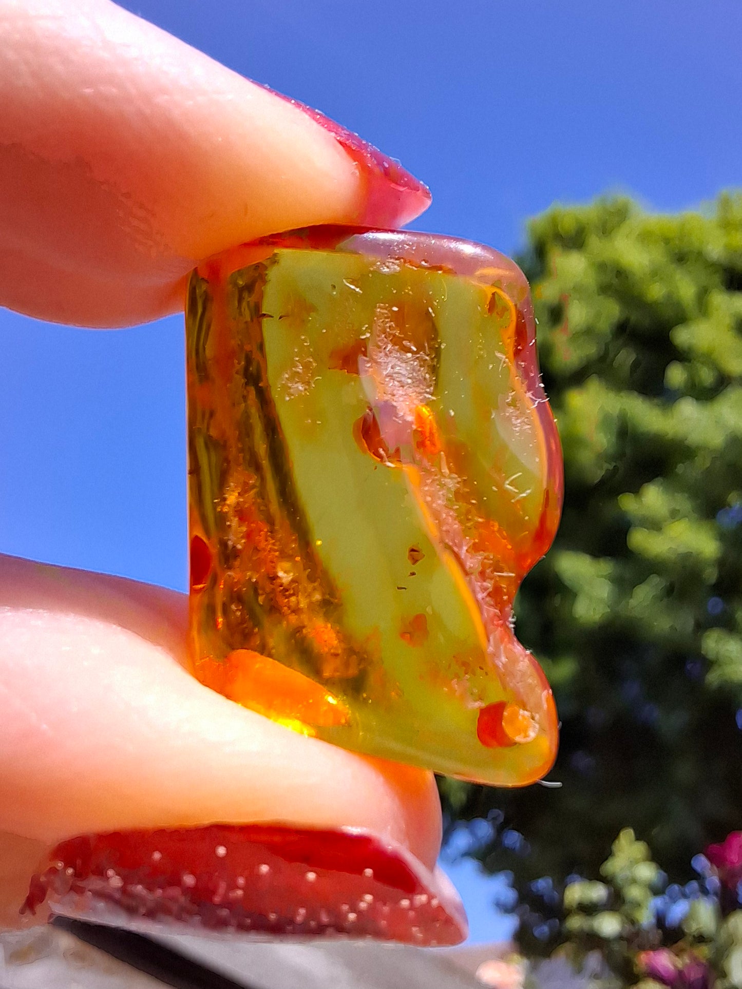 Baltic Amber, 1.40g, Fossil (Ref: A187)