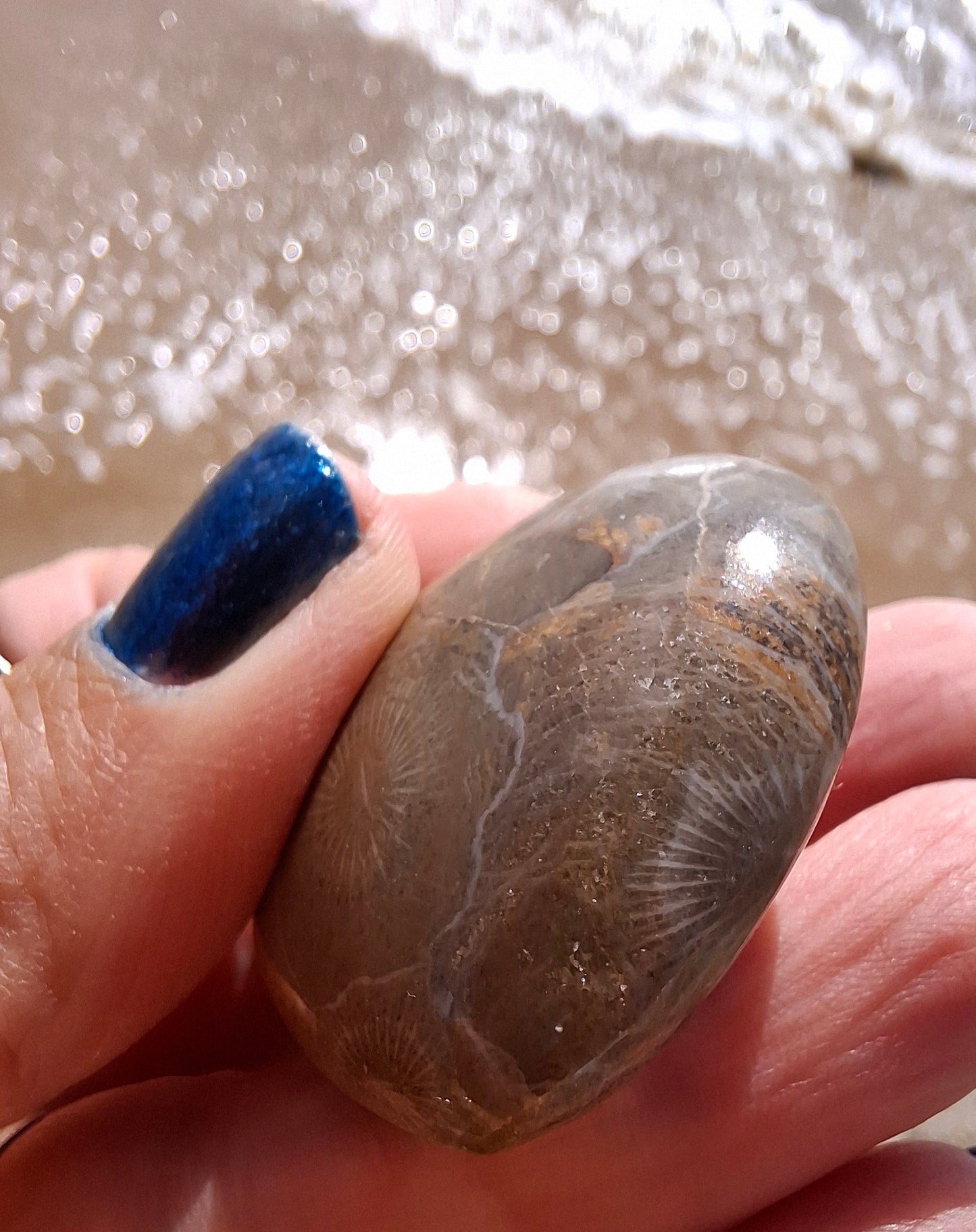 Fossil Coral Heart, (Ref:CoH1)