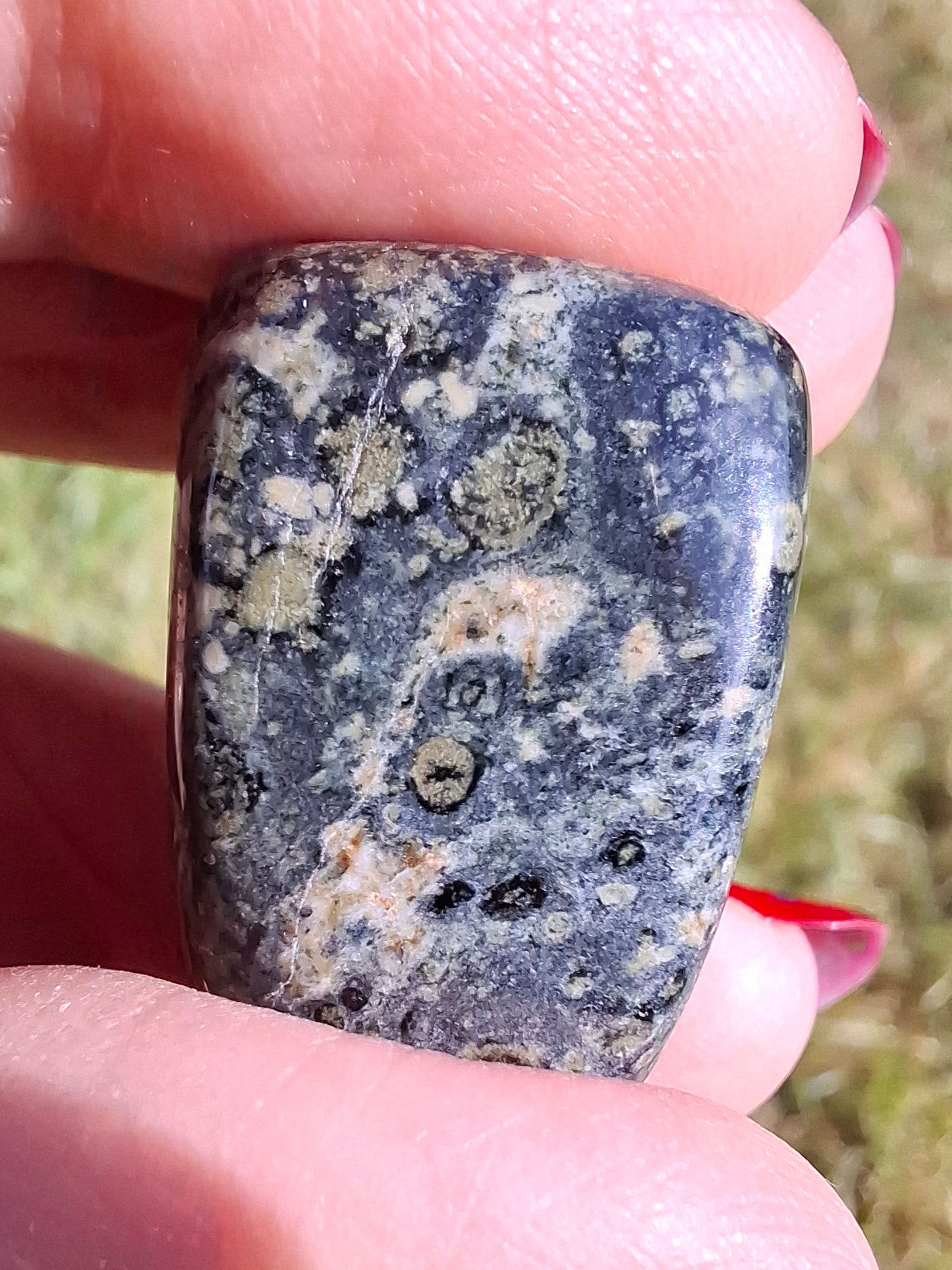 Kambaba Jasper, Tumble Stone, Crystal (Ref: T164)