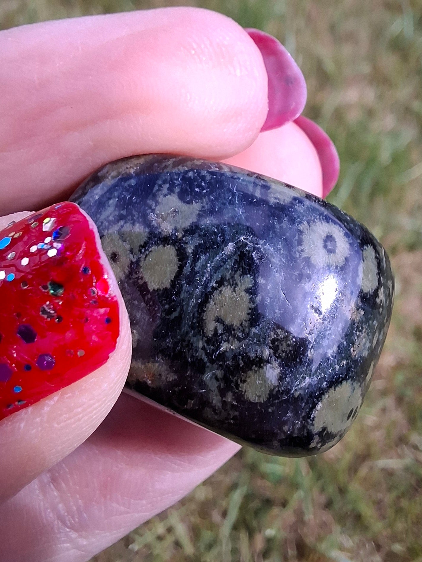 Kambaba Jasper, Tumble Stone, Crystal (Ref: T163)