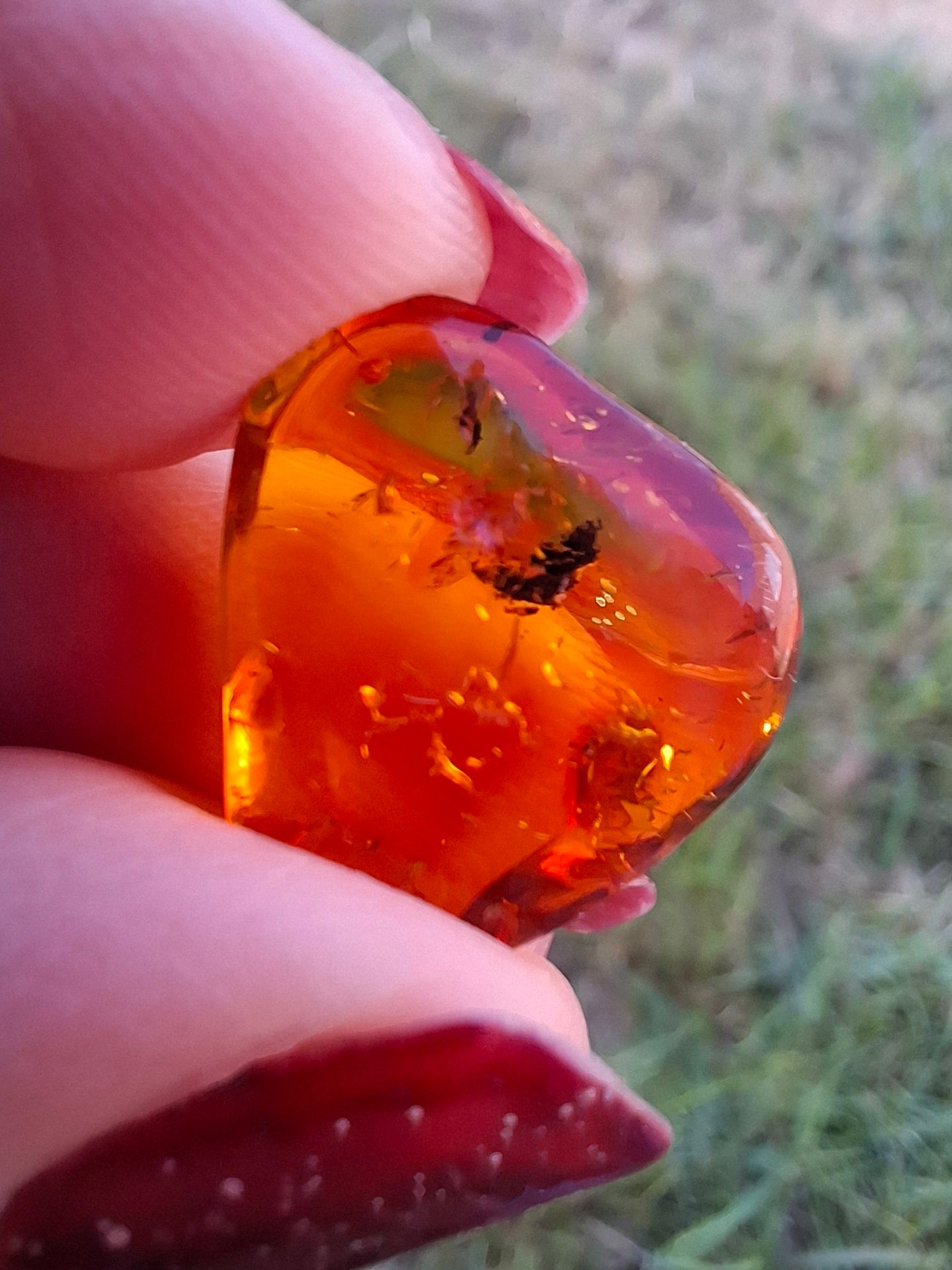 Baltic Amber, 0.97g, Fossil (Ref: A249)