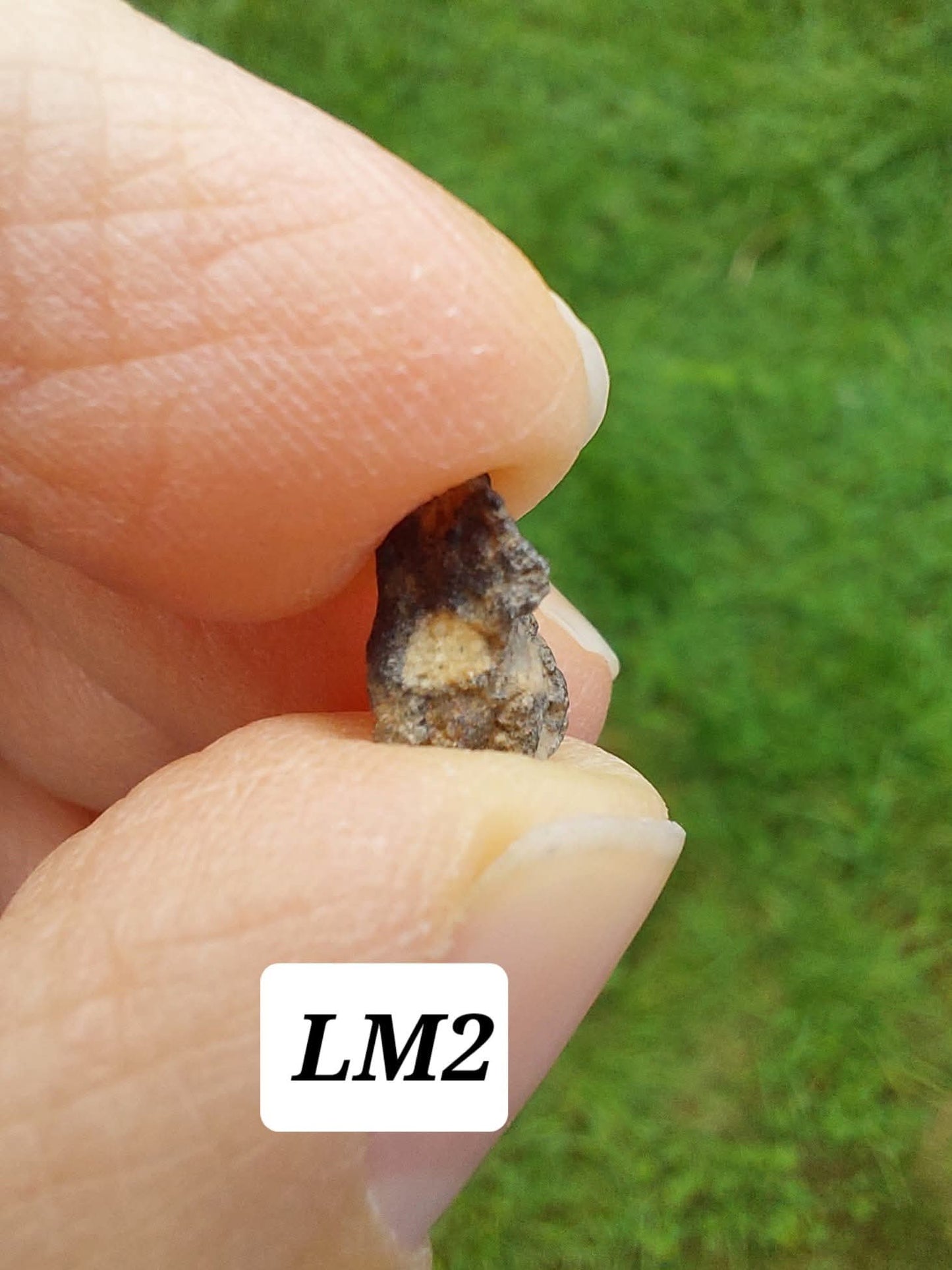 Lunar Meteorite, 0.23g, 'Moon Rock'(Ref: LM2)