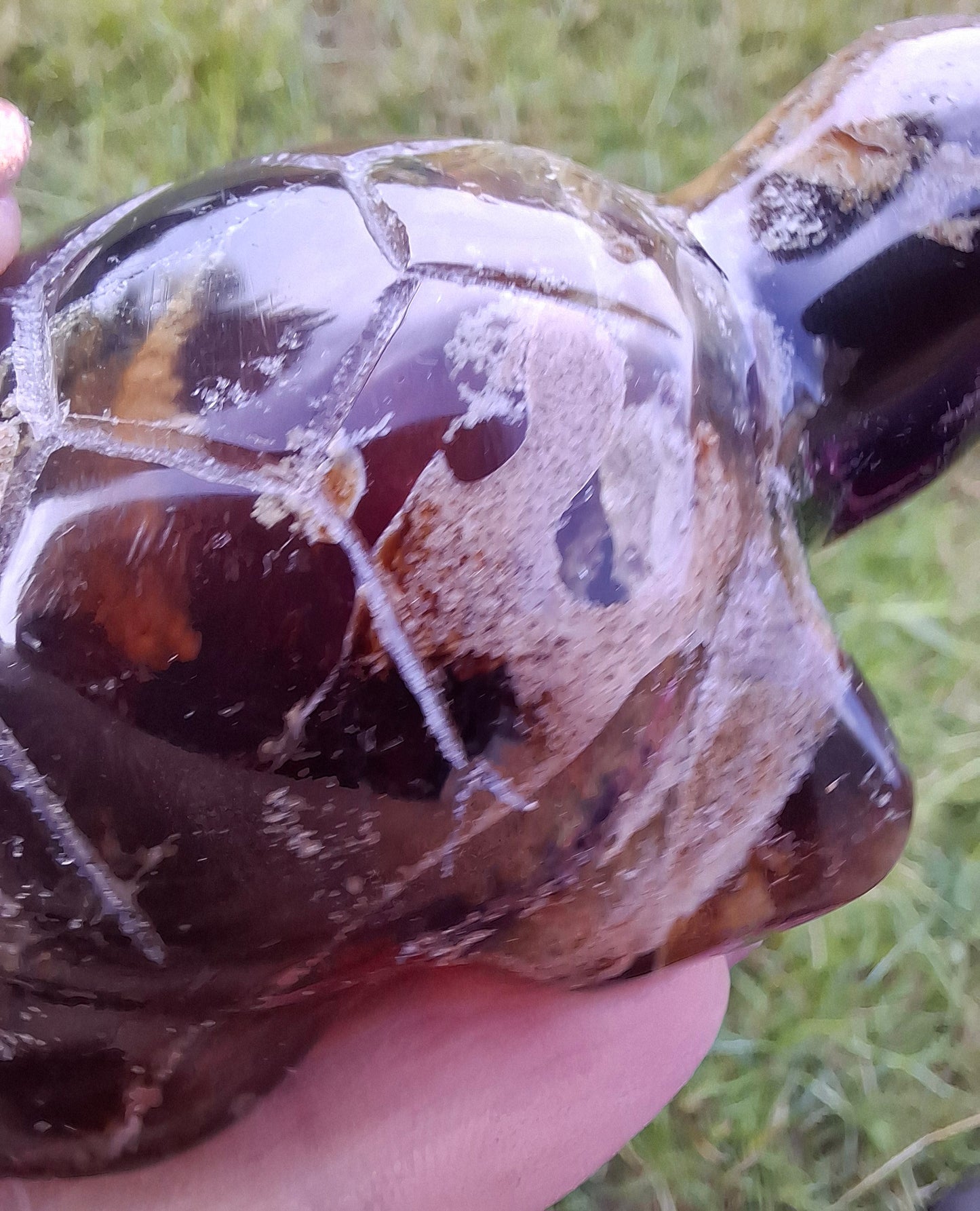 Red Amber Turtle, 56.87g, Carving, Fossil (Ref:TT7)