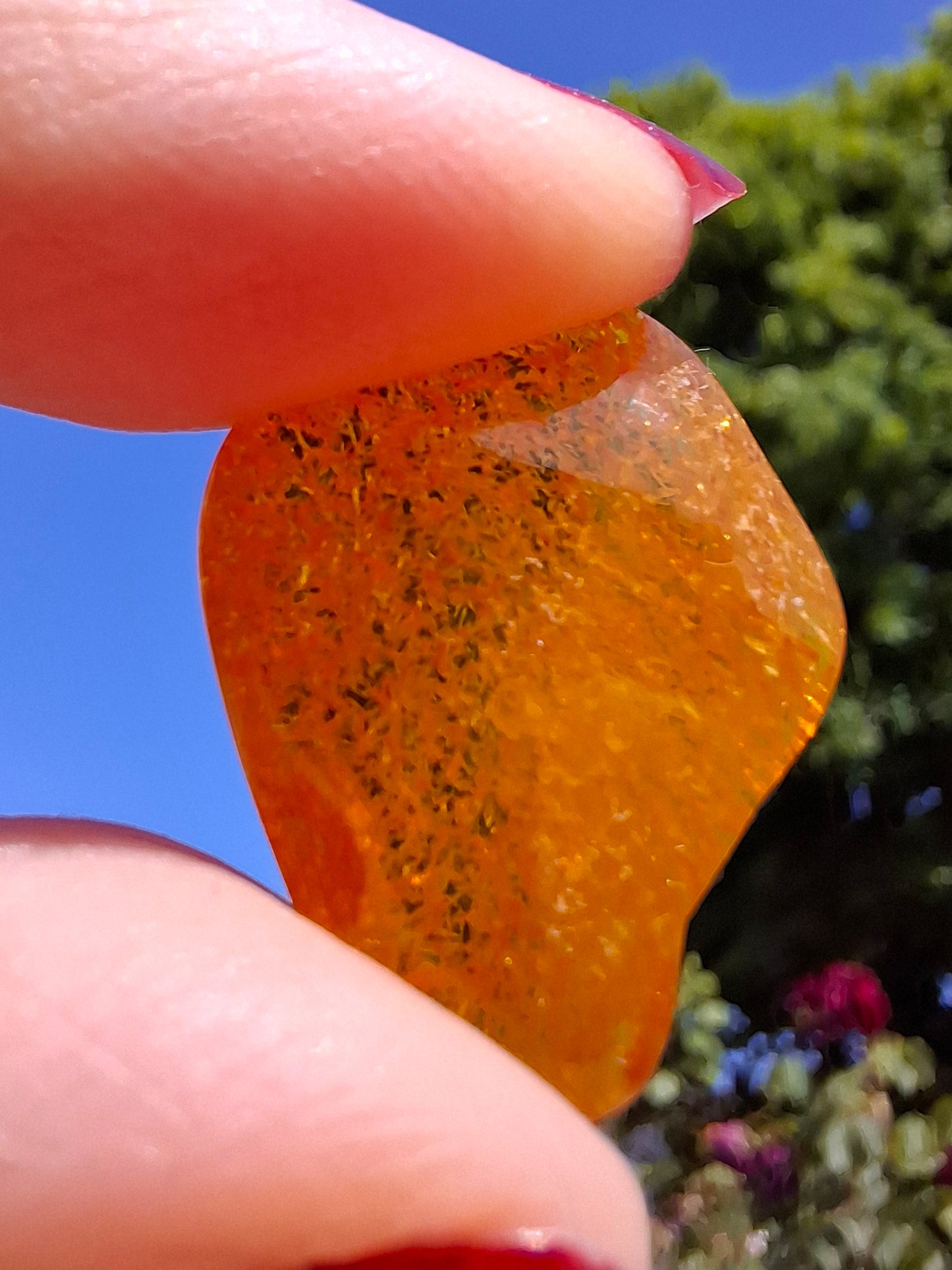 Baltic Amber, 1.37g, Fossil (Ref: A225)