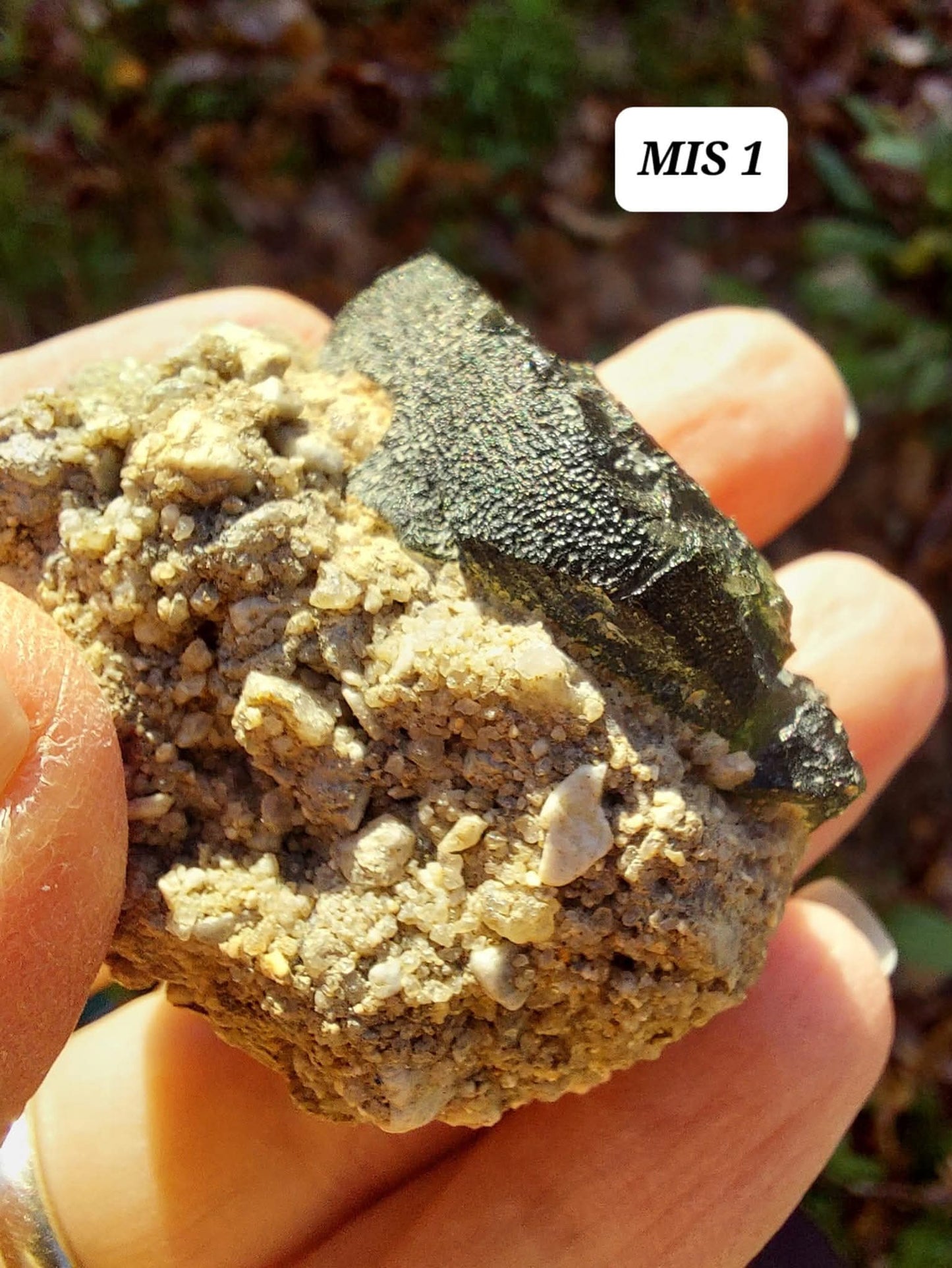 Moldavite In-Situ (in matrix), Besednice, Est-13g, Tektite (Ref: MIS1)