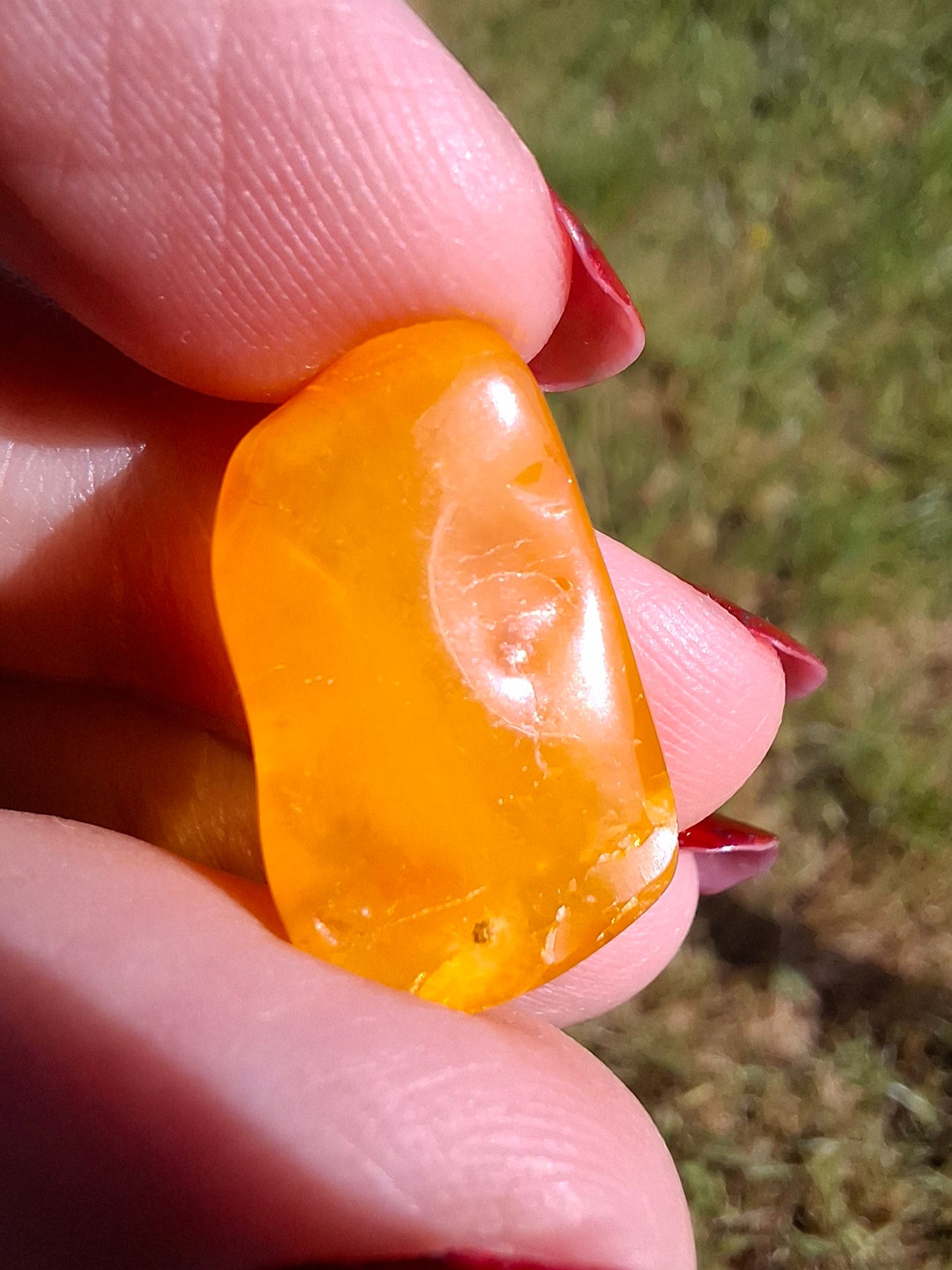 Baltic Amber, 1.20g, Fossil (Ref: A129)